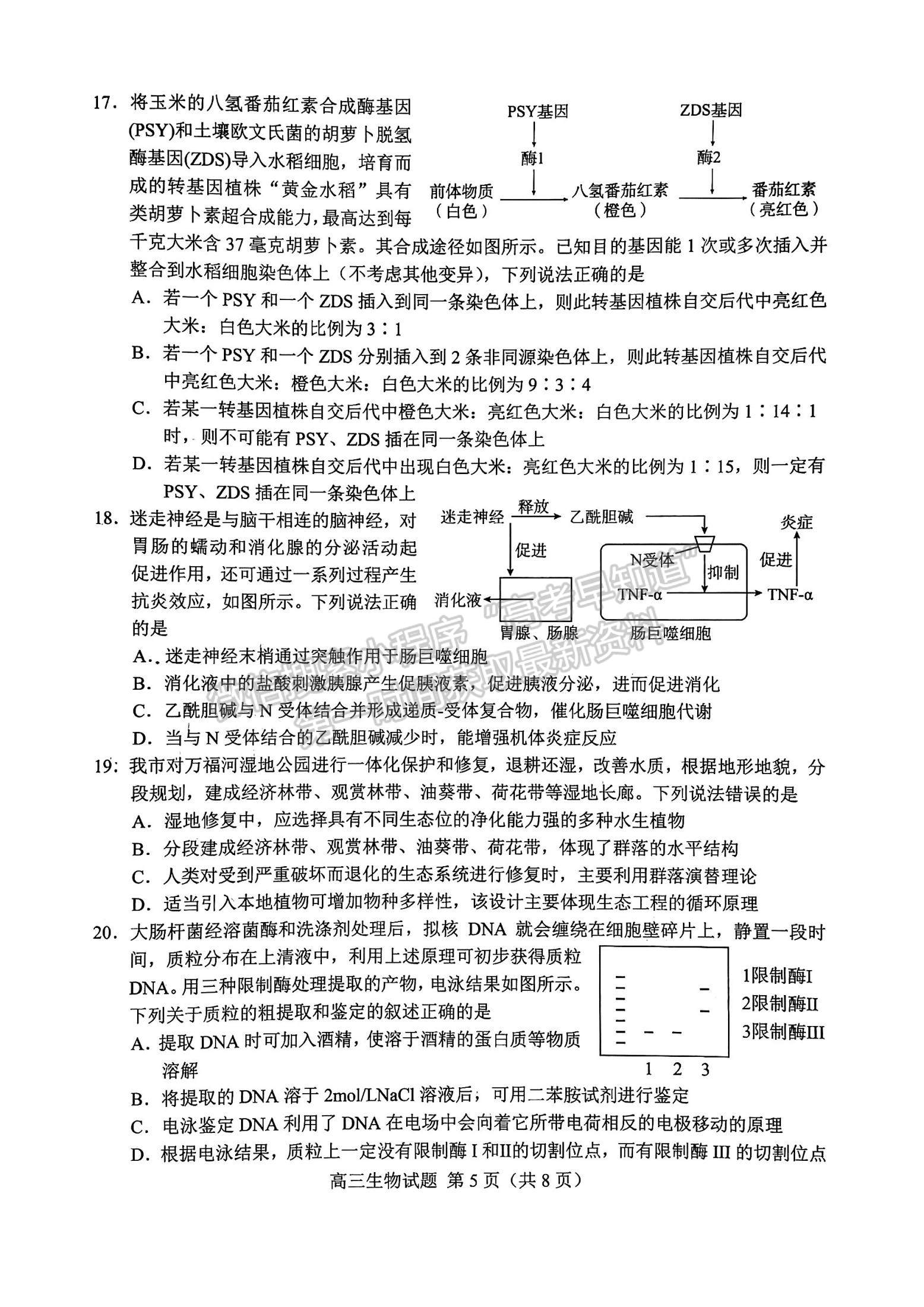 2023山東菏澤高三一模-生物試卷及答案