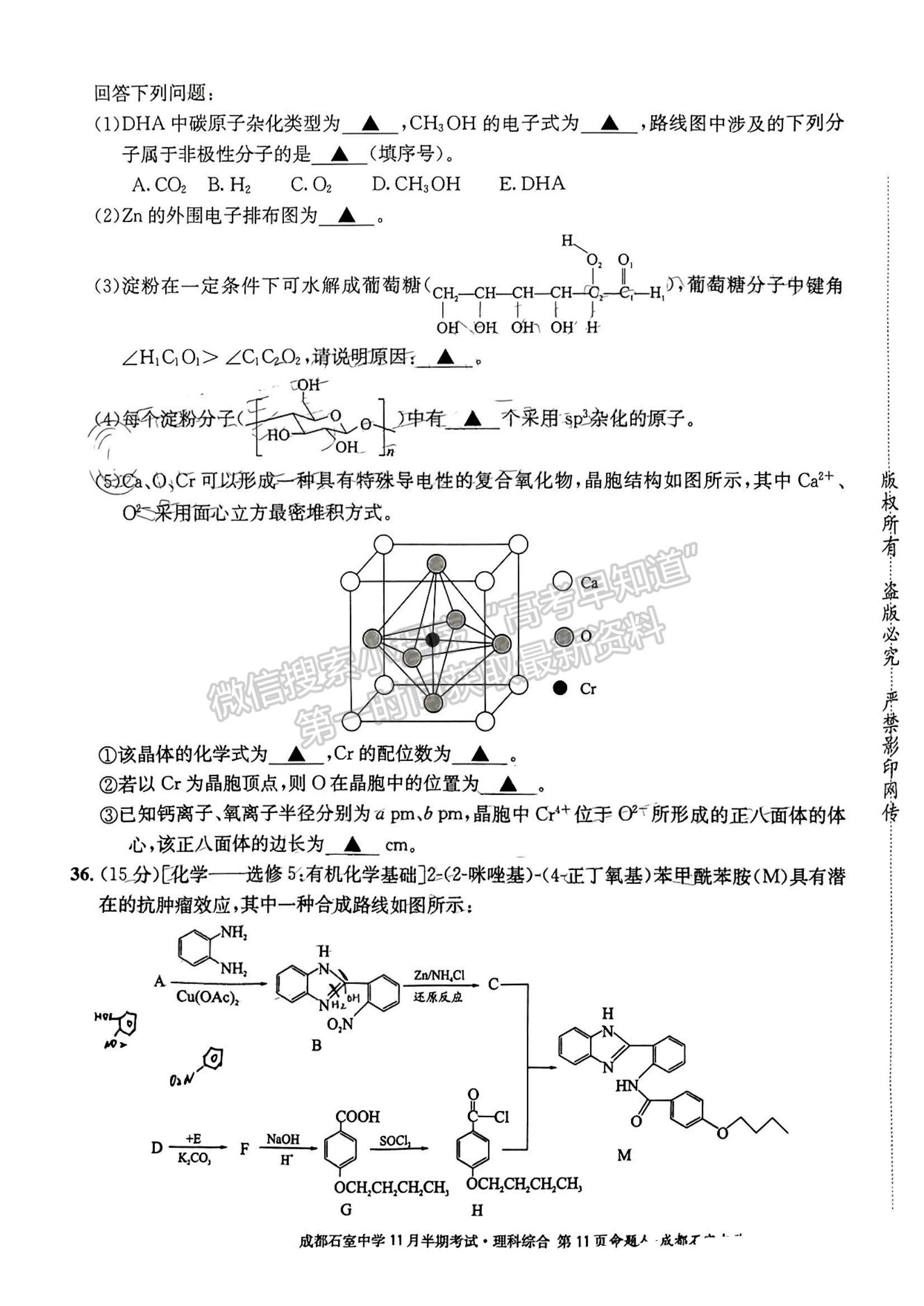 2023四川省成都市石室中學(xué)高三上學(xué)期11月半期考試?yán)砭C試題及參考答案