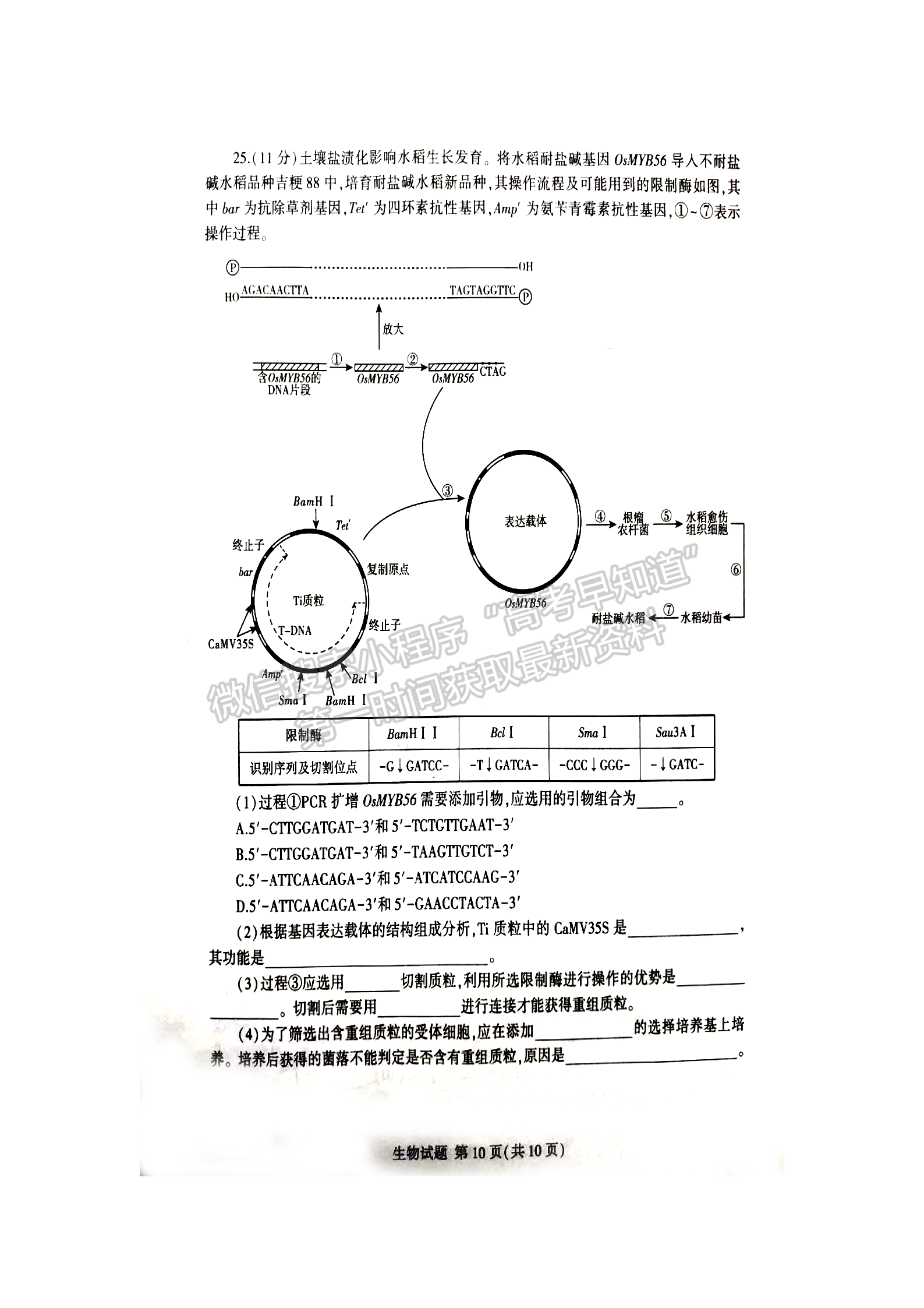 2023屆山東省臨沂市高三一模-生物試卷及答案