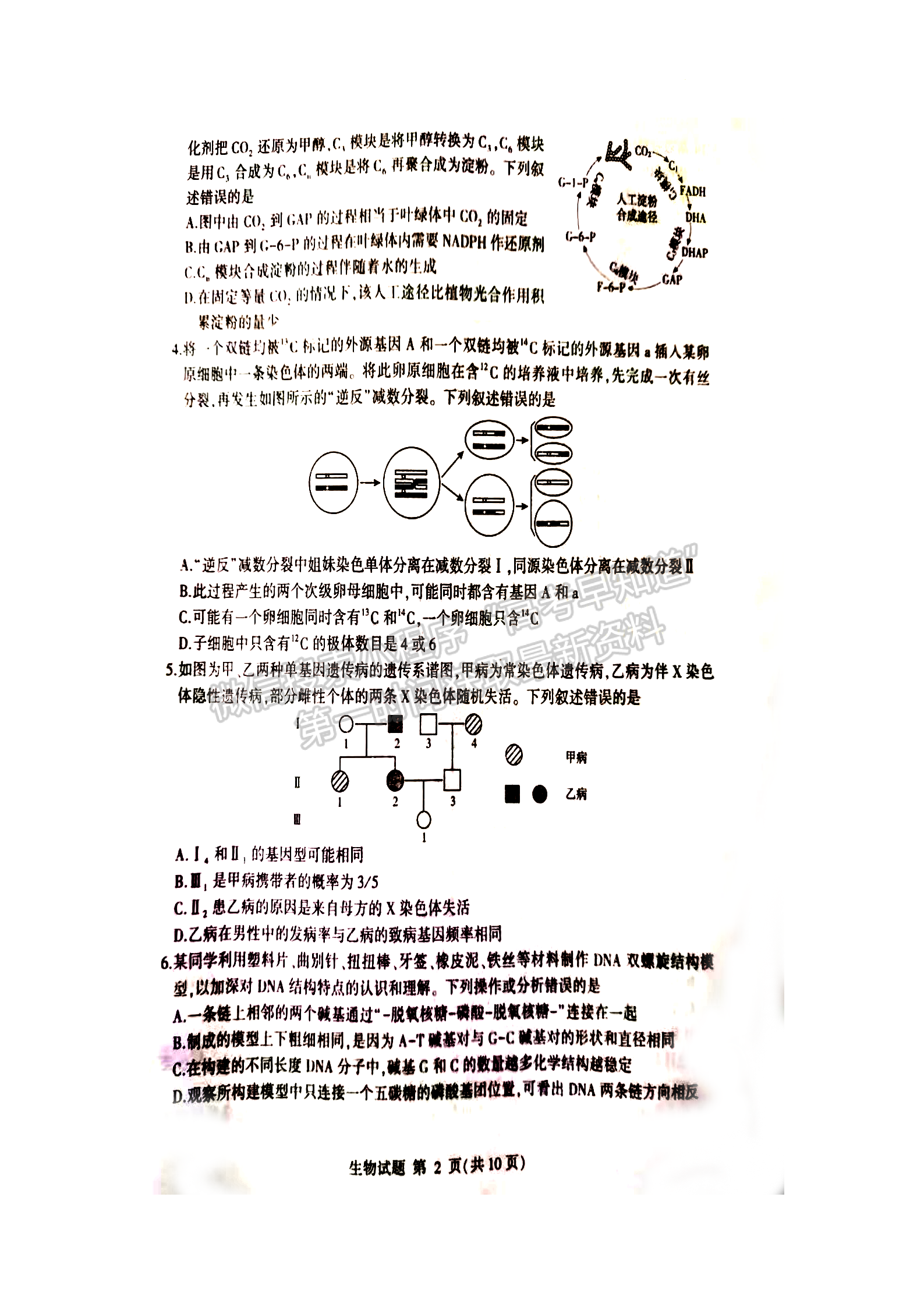 2023屆山東省臨沂市高三一模-生物試卷及答案