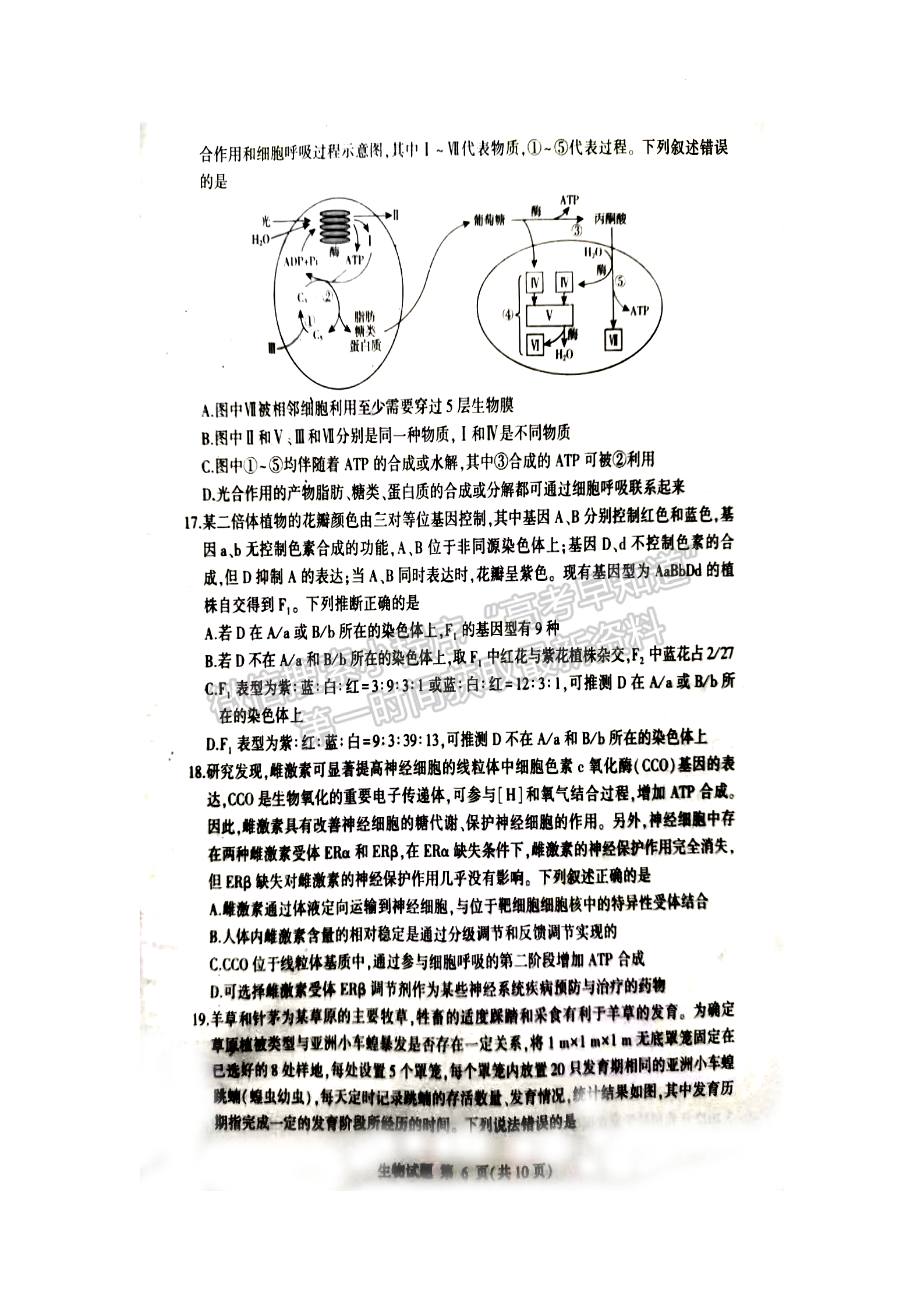 2023屆山東省臨沂市高三一模-生物試卷及答案