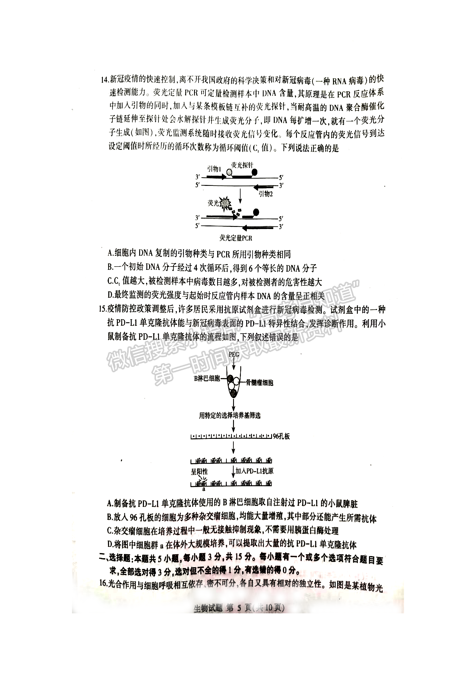 2023屆山東省臨沂市高三一模-生物試卷及答案