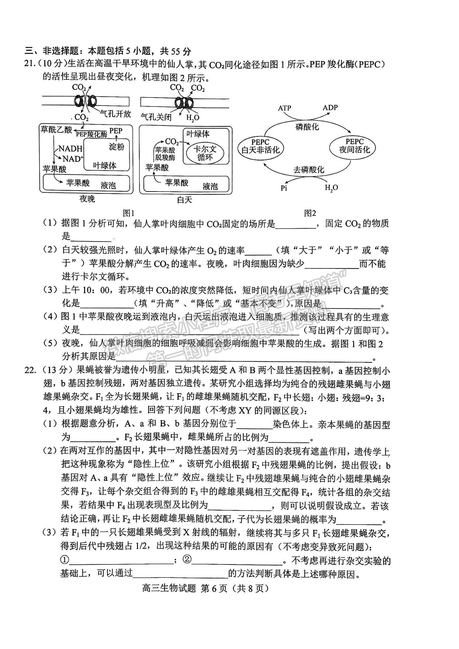 2023山東菏澤高三一模-生物試卷及答案