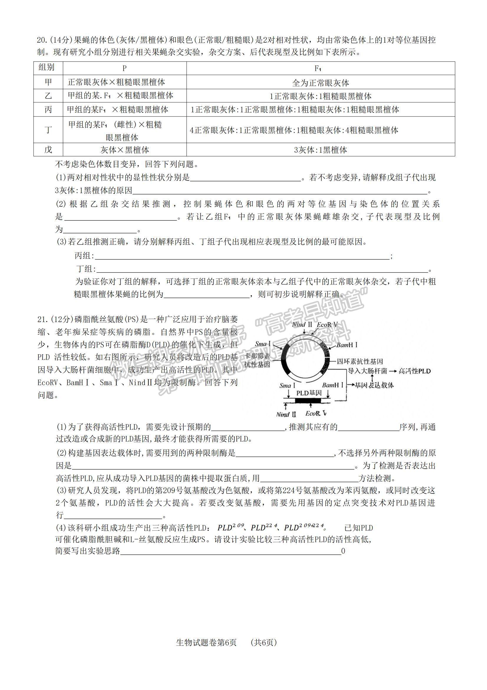 2023湖南省株洲市部分學(xué)校高三上學(xué)期12月聯(lián)考生物試題及參考答案