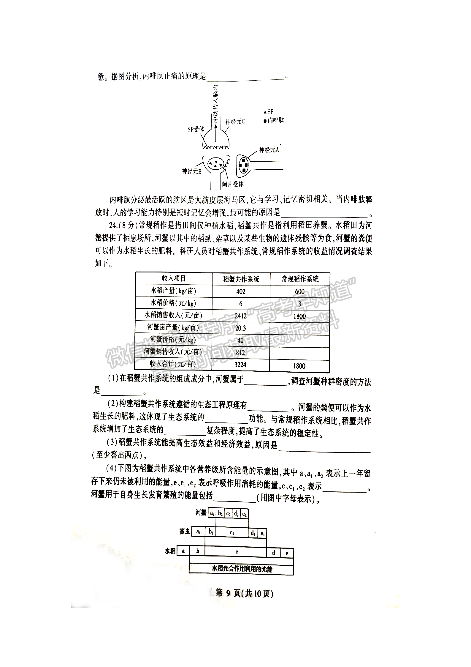 2023屆山東省臨沂市高三一模-生物試卷及答案