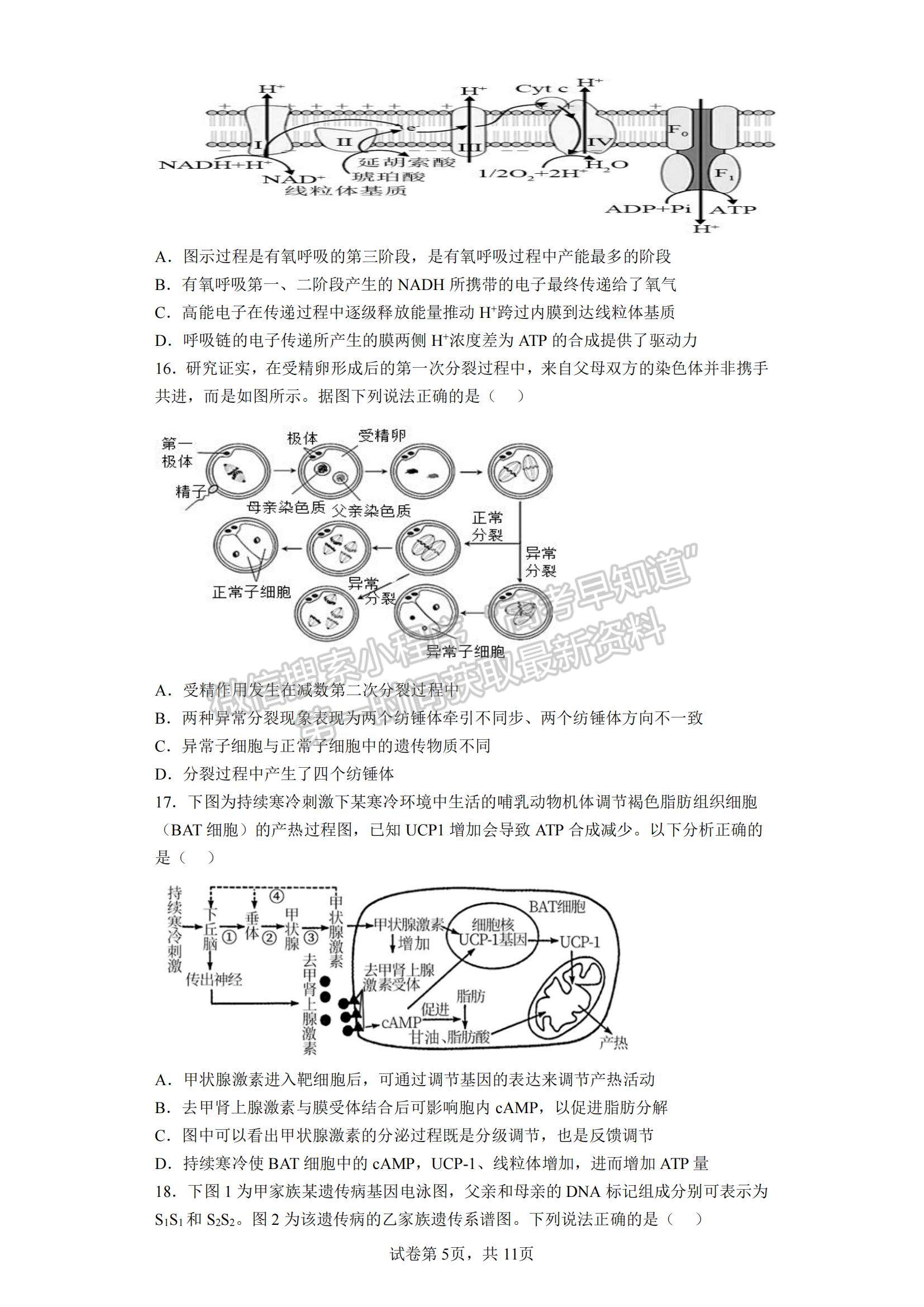 2023江蘇省鹽城市四校高三上學(xué)期聯(lián)考生物試題及參考答案