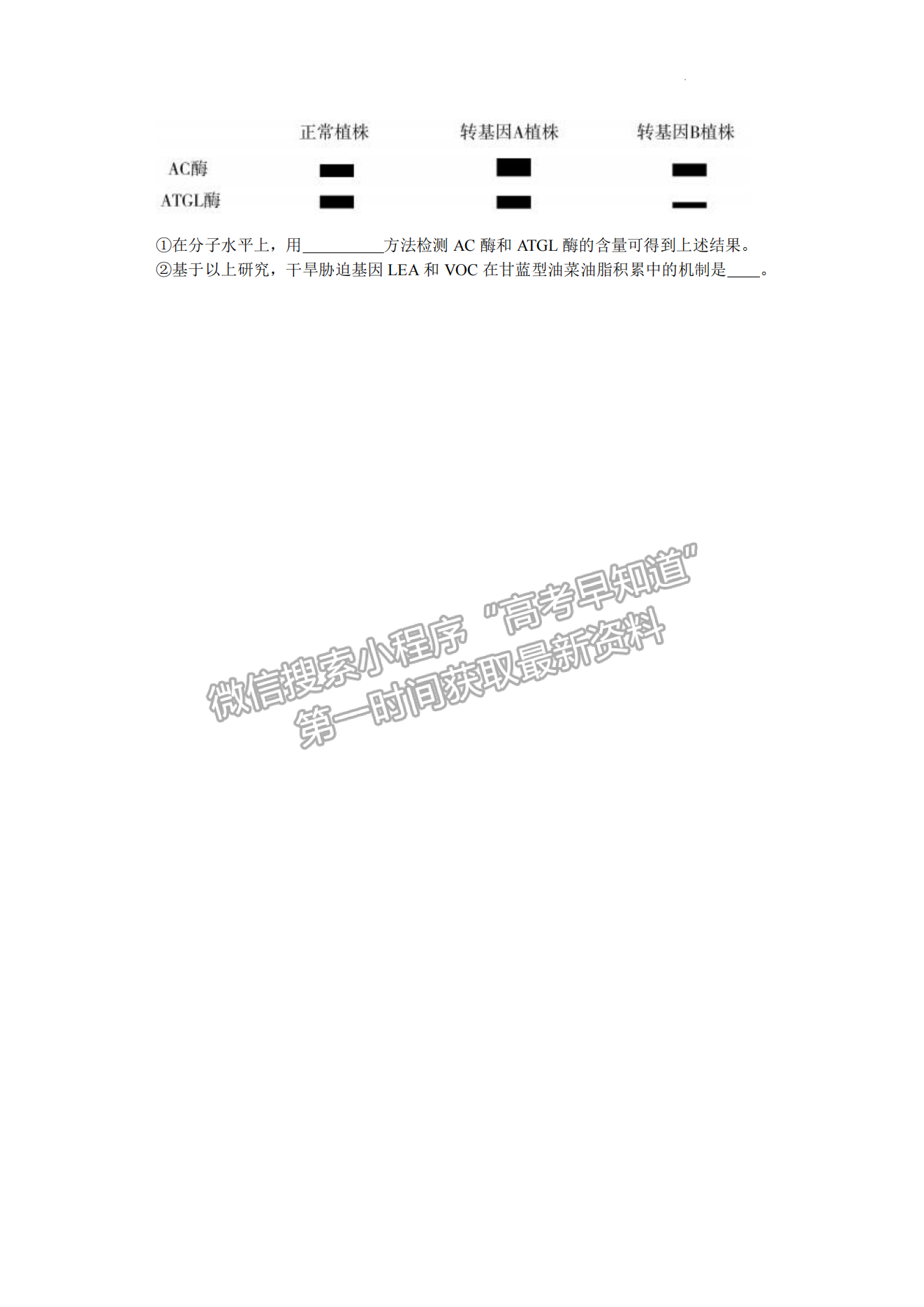 2023山东潍坊高三一模试卷及答案汇总-生物试卷及答案