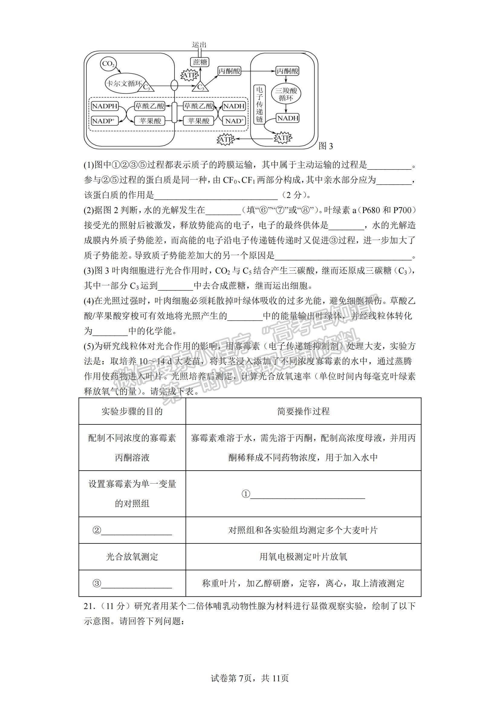 2023江蘇省鹽城市四校高三上學(xué)期聯(lián)考生物試題及參考答案