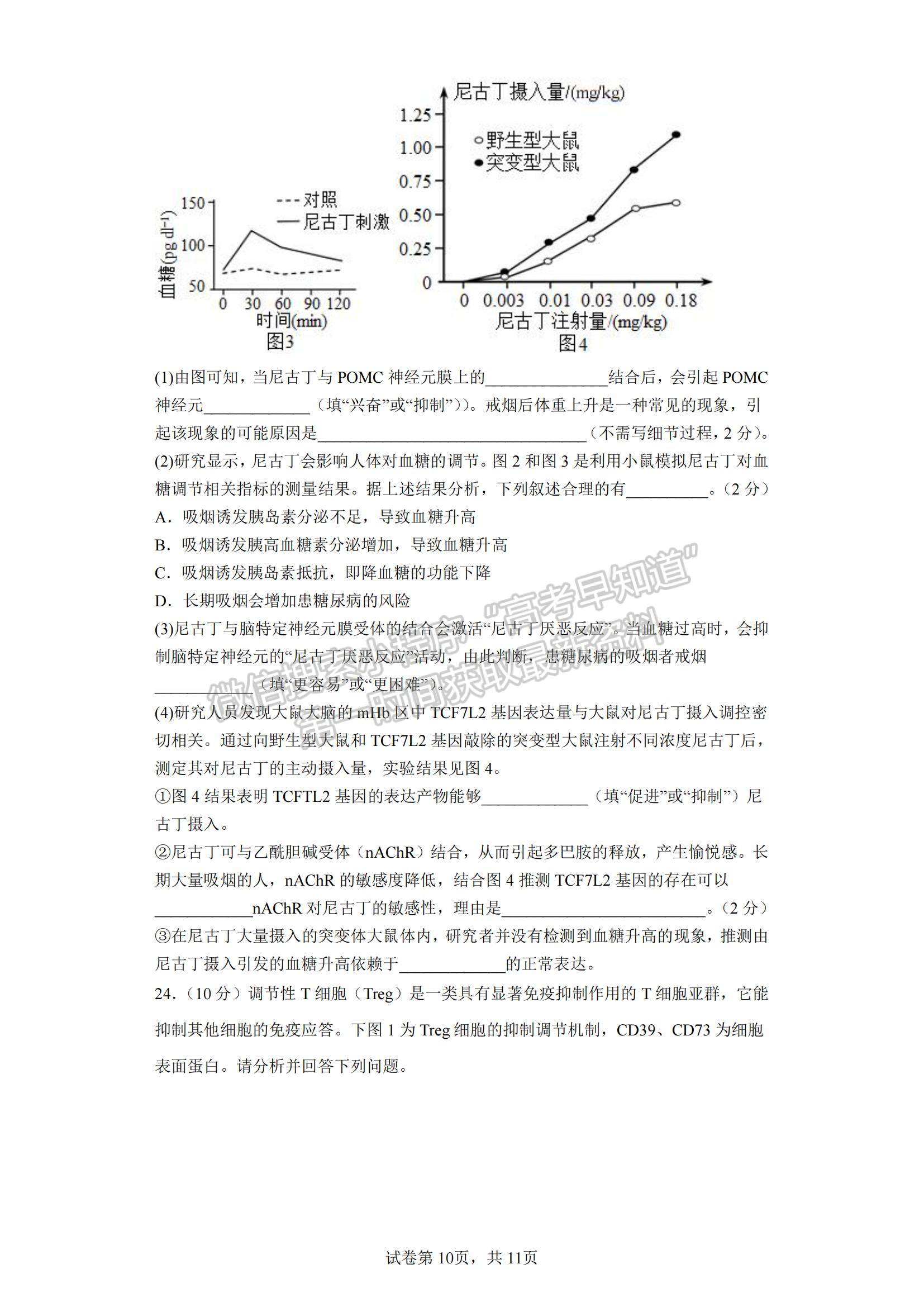 2023江蘇省鹽城市四校高三上學(xué)期聯(lián)考生物試題及參考答案