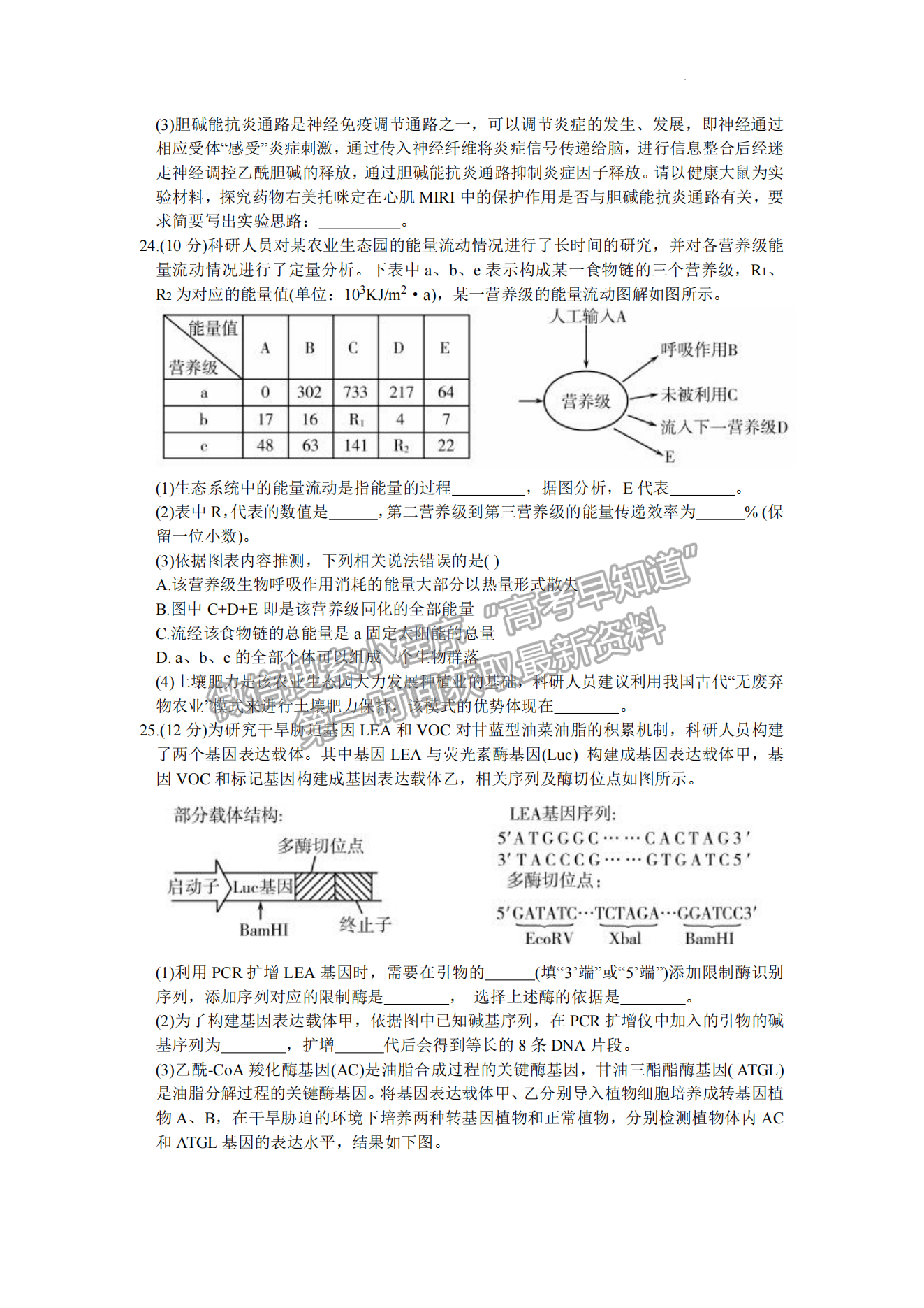 2023山东潍坊高三一模试卷及答案汇总-生物试卷及答案