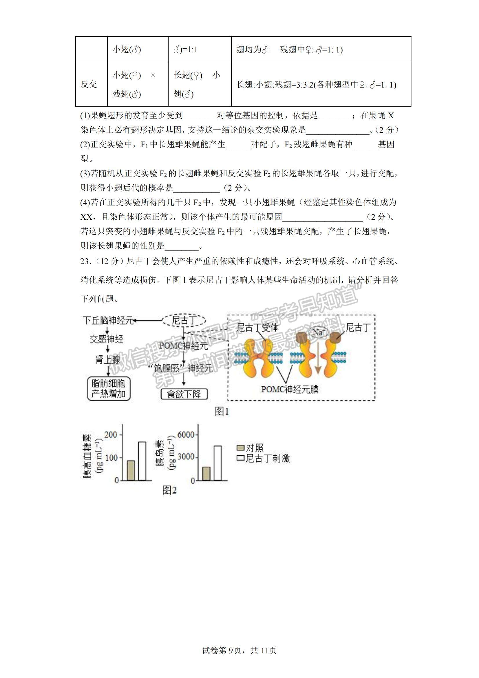 2023江蘇省鹽城市四校高三上學(xué)期聯(lián)考生物試題及參考答案