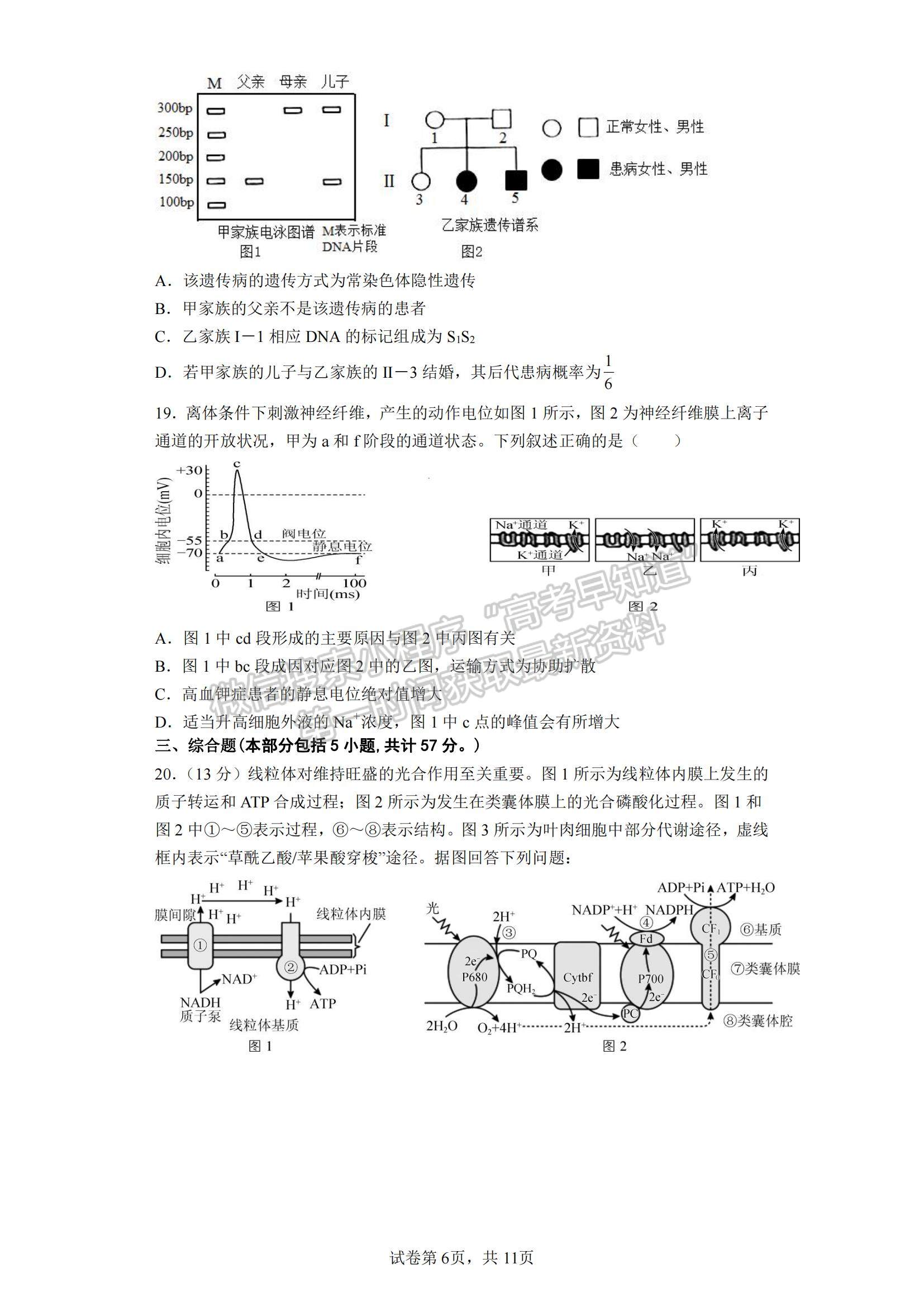 2023江蘇省鹽城市四校高三上學(xué)期聯(lián)考生物試題及參考答案