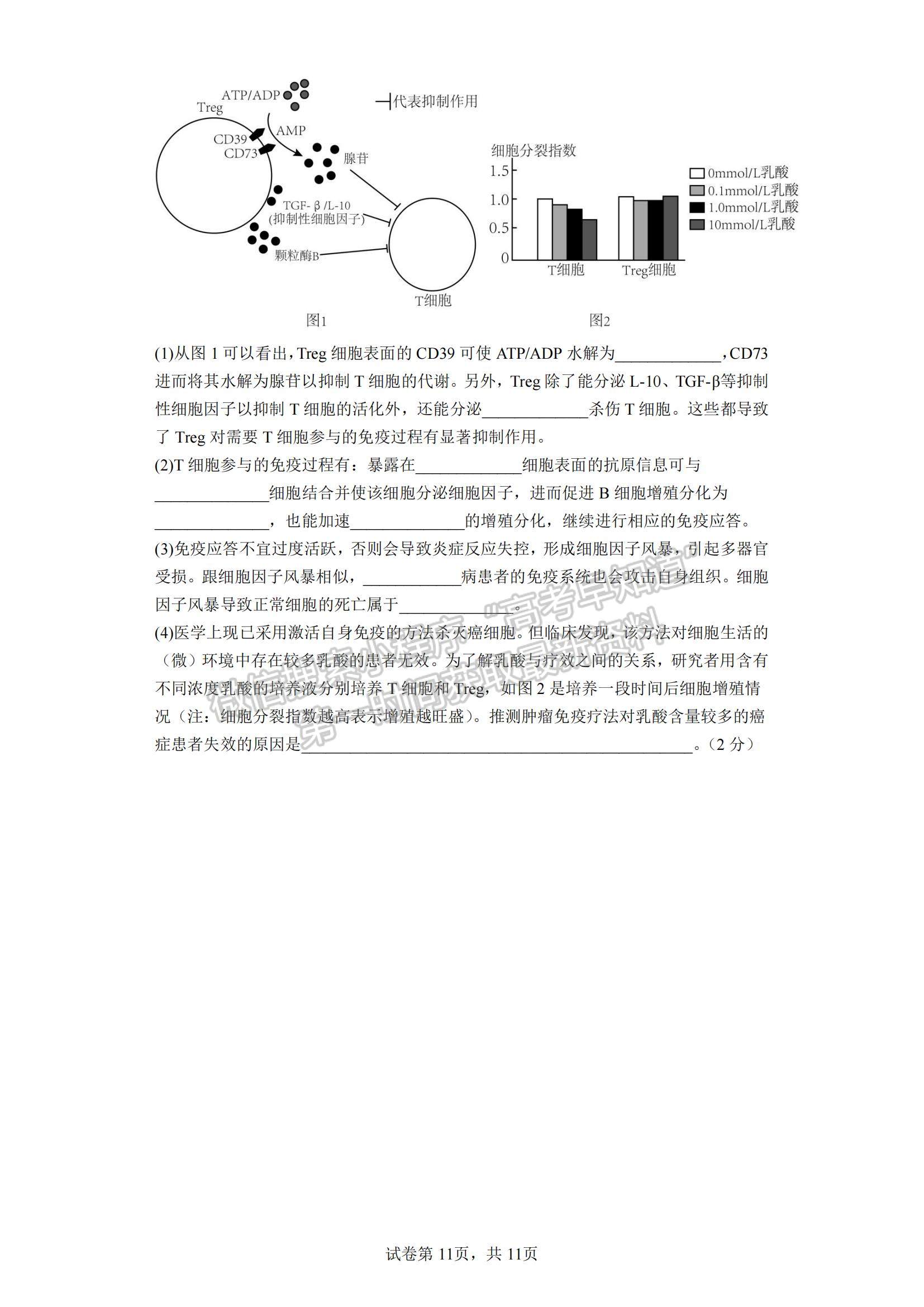 2023江蘇省鹽城市四校高三上學(xué)期聯(lián)考生物試題及參考答案