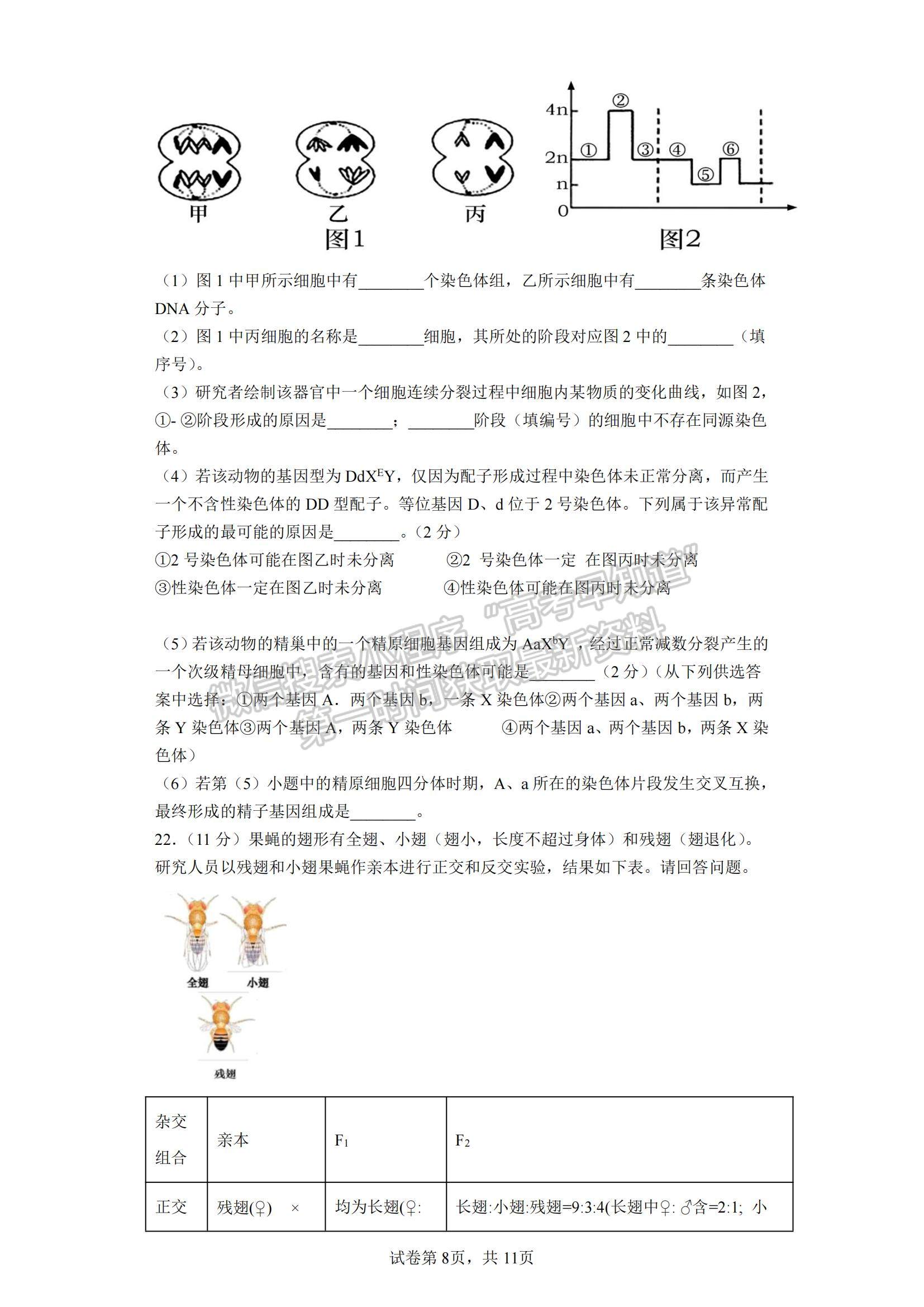 2023江蘇省鹽城市四校高三上學(xué)期聯(lián)考生物試題及參考答案