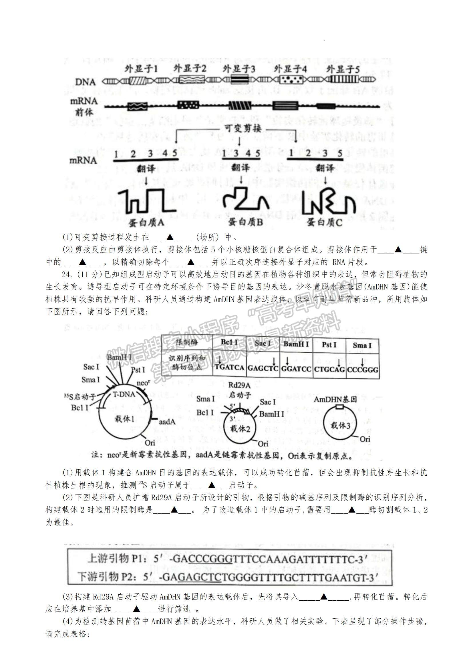 2023江蘇省揚(yáng)州中學(xué)高三上學(xué)期11月期中檢測(cè)生物試題及參考答案