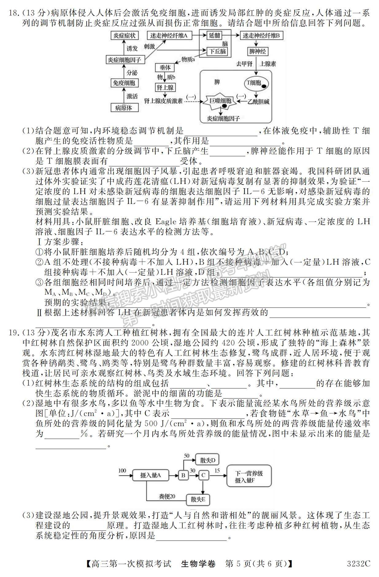 2023廣東省高州市高三上學(xué)期第一次模擬考試生物試題及參考答案