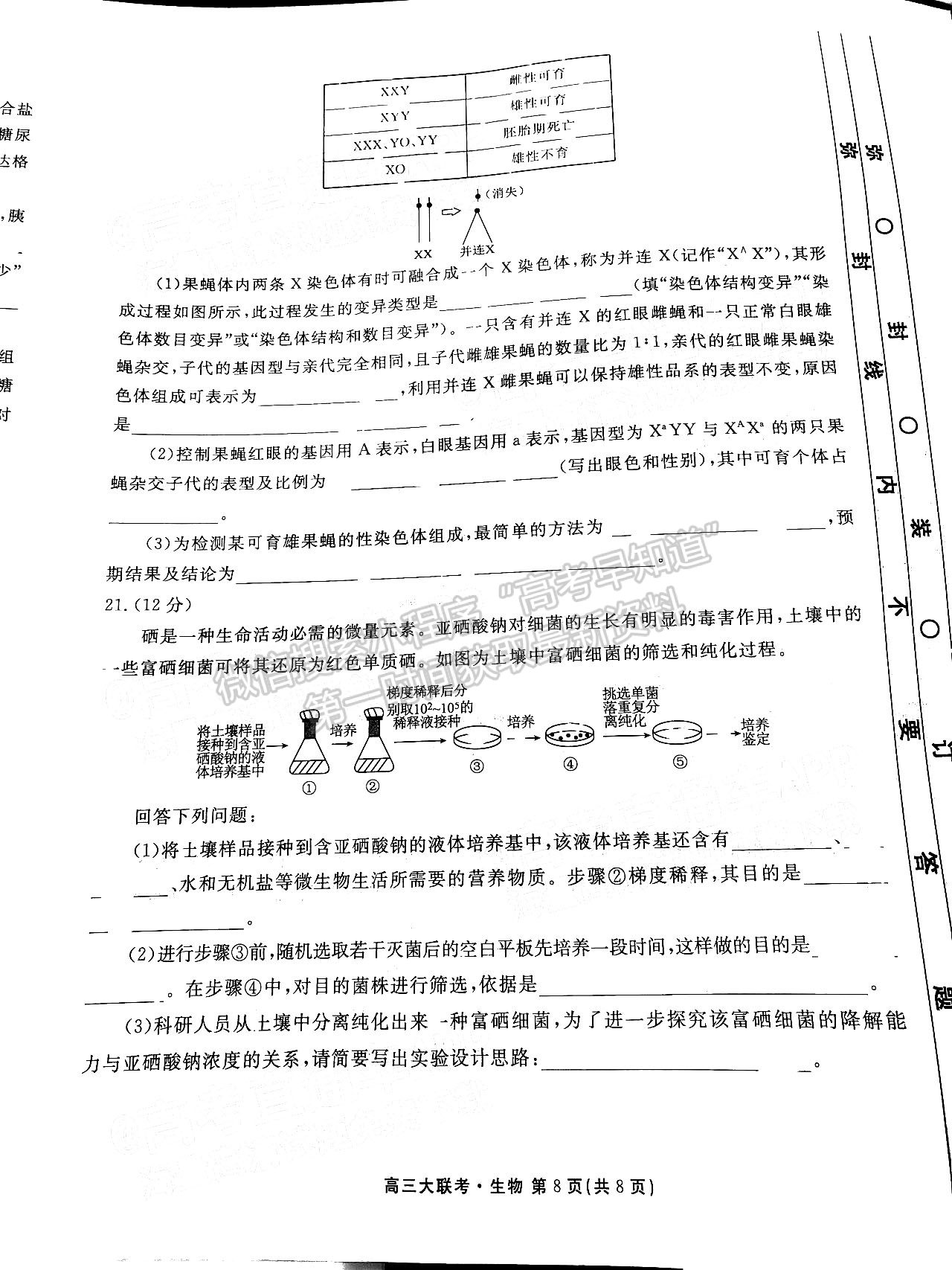 2023廣東衡水金卷2月聯(lián)考生物試題及答案