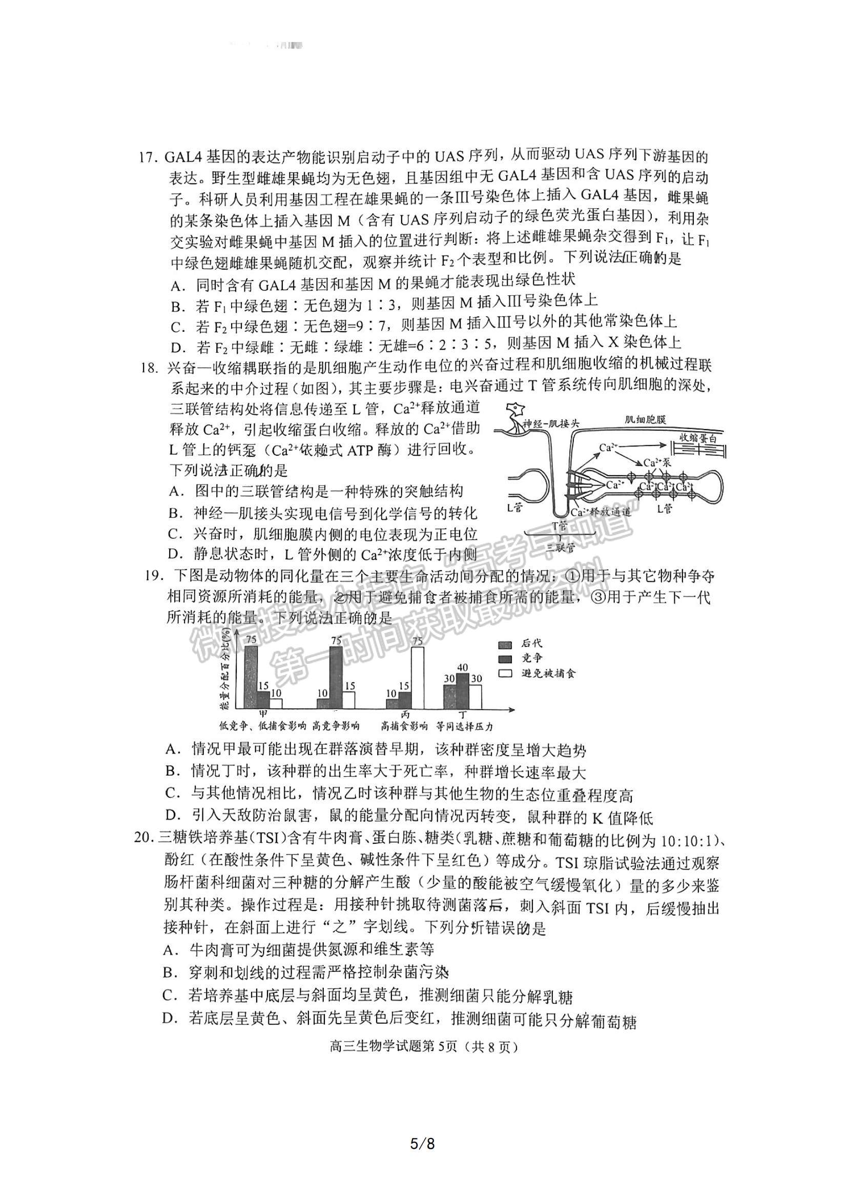 2023山東日照高三一模-生物試卷及答案