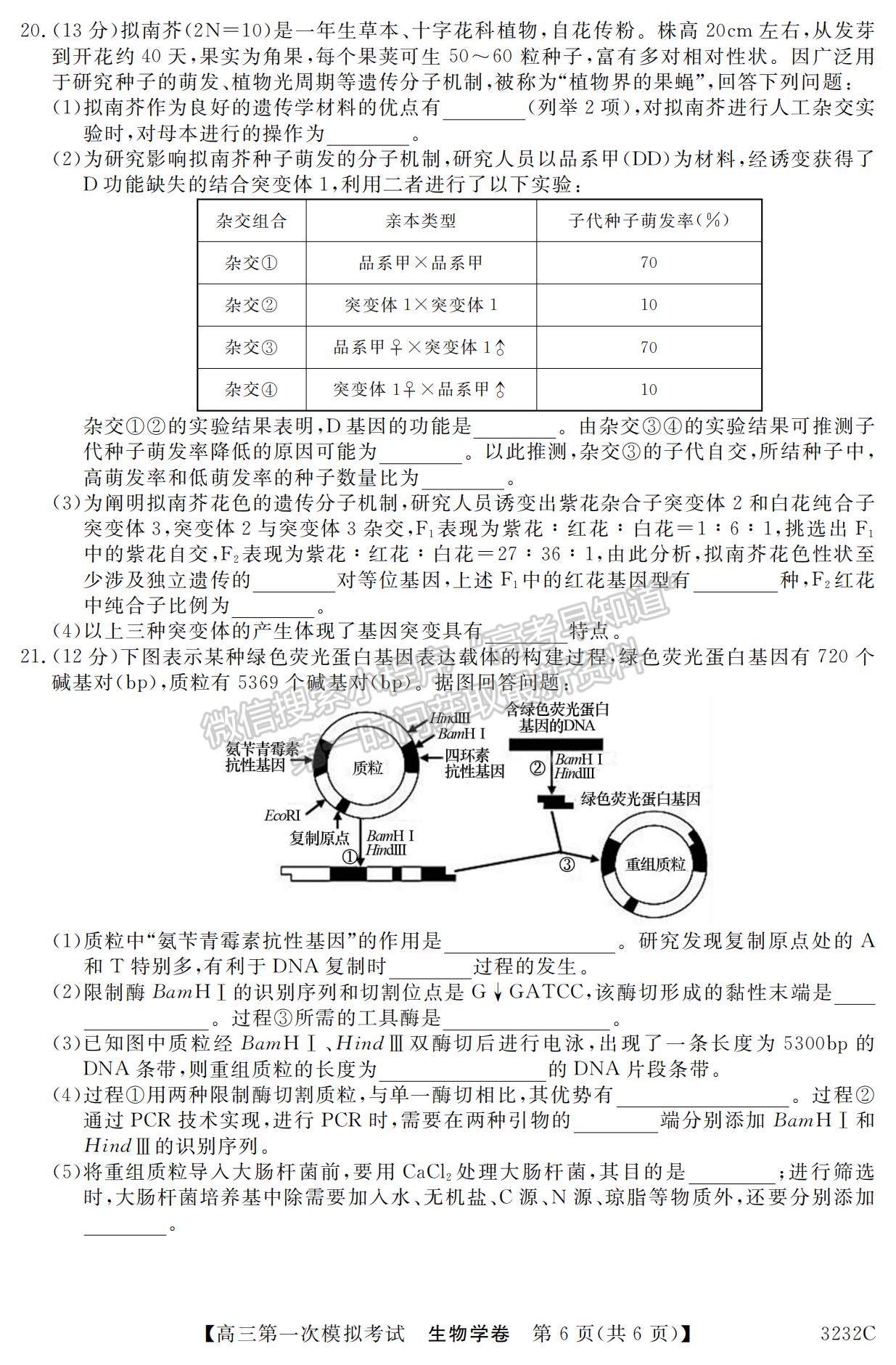 2023廣東省高州市高三上學(xué)期第一次模擬考試生物試題及參考答案