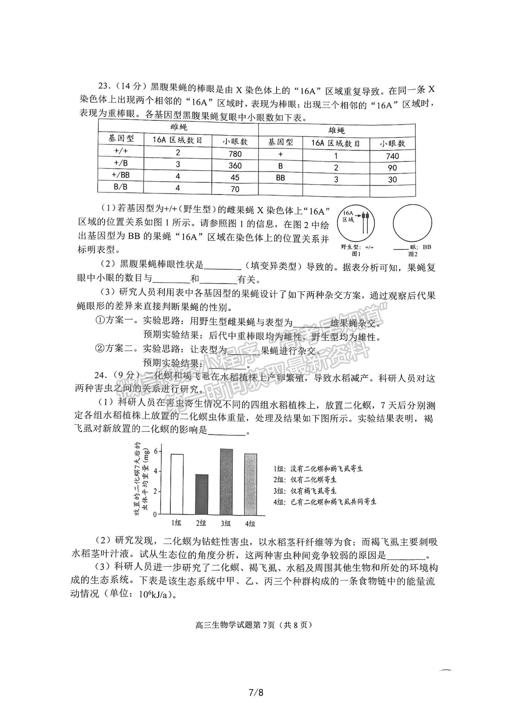 2023山東日照高三一模-生物試卷及答案