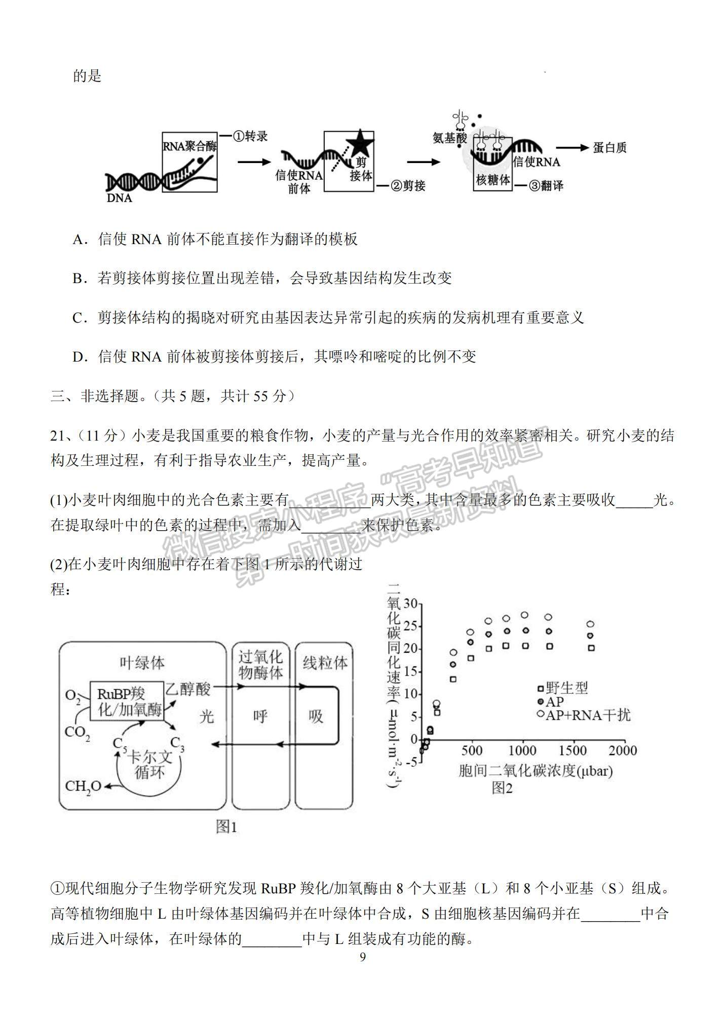 2023江蘇省揚(yáng)州中學(xué)高三上學(xué)期10月雙周練（三）生物試題及參考答案