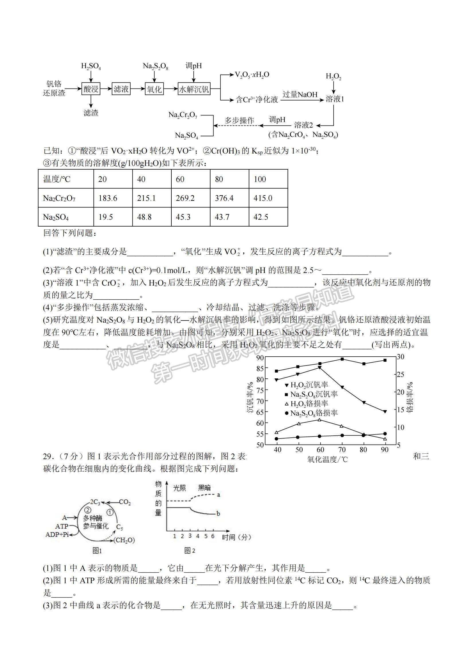 2023四川省泸州市泸县教育共同体高三上学期一诊模拟考试理综试题及参考答案