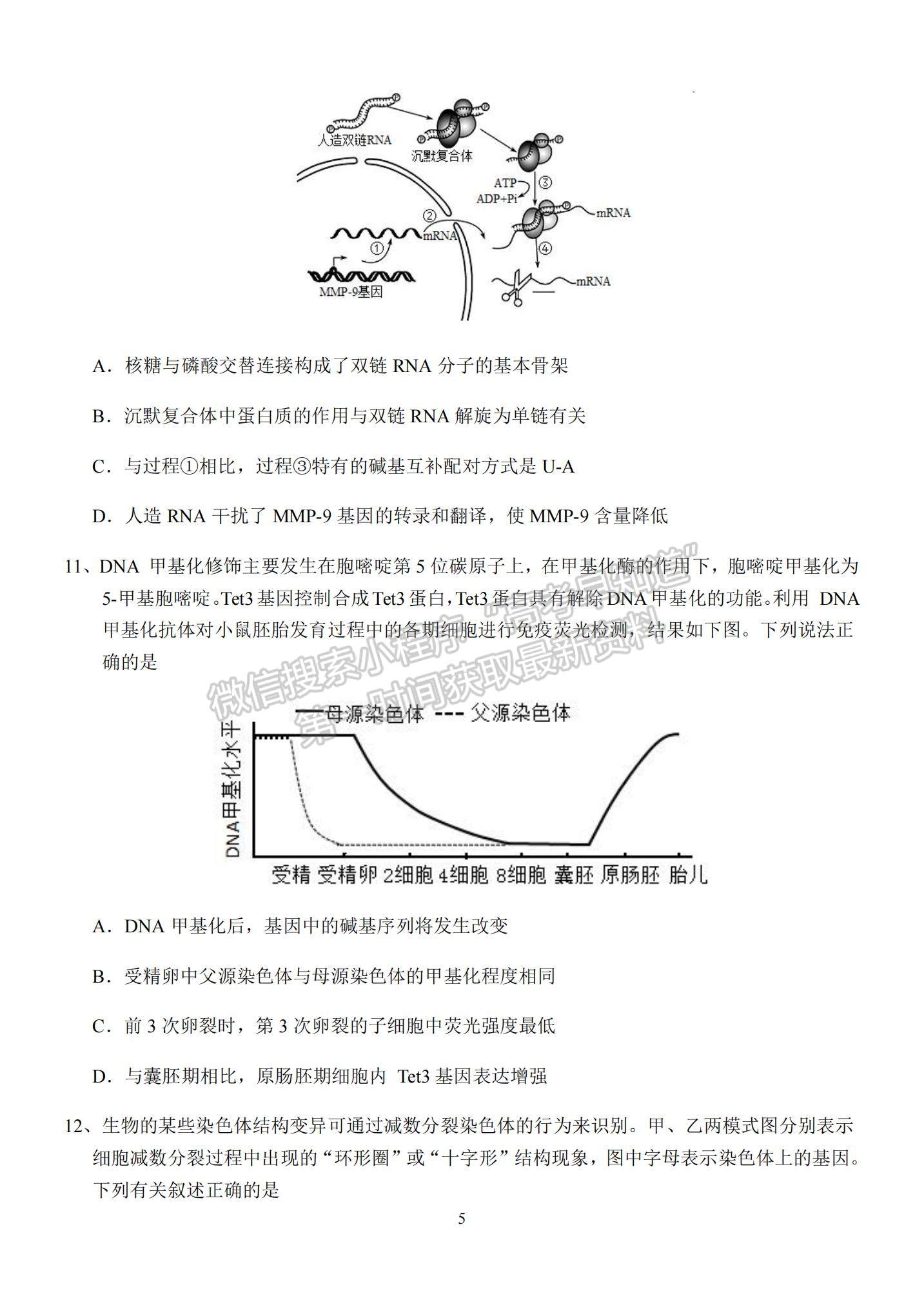 2023江蘇省揚(yáng)州中學(xué)高三上學(xué)期10月雙周練（三）生物試題及參考答案