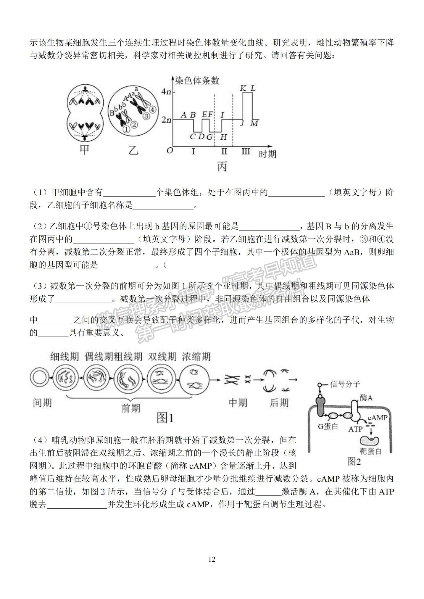 2023江蘇省揚(yáng)州中學(xué)高三上學(xué)期10月雙周練（三）生物試題及參考答案