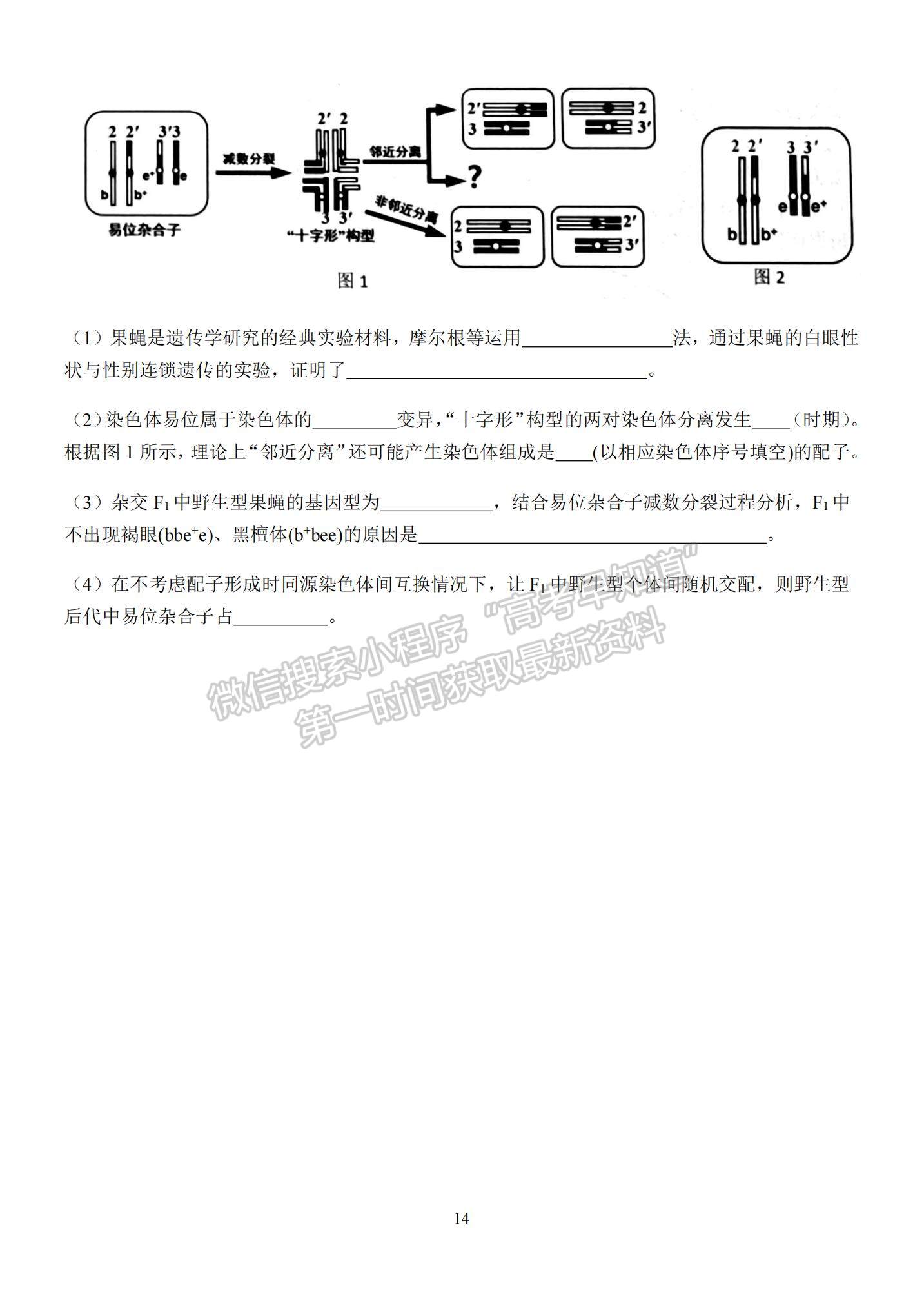 2023江蘇省揚(yáng)州中學(xué)高三上學(xué)期10月雙周練（三）生物試題及參考答案