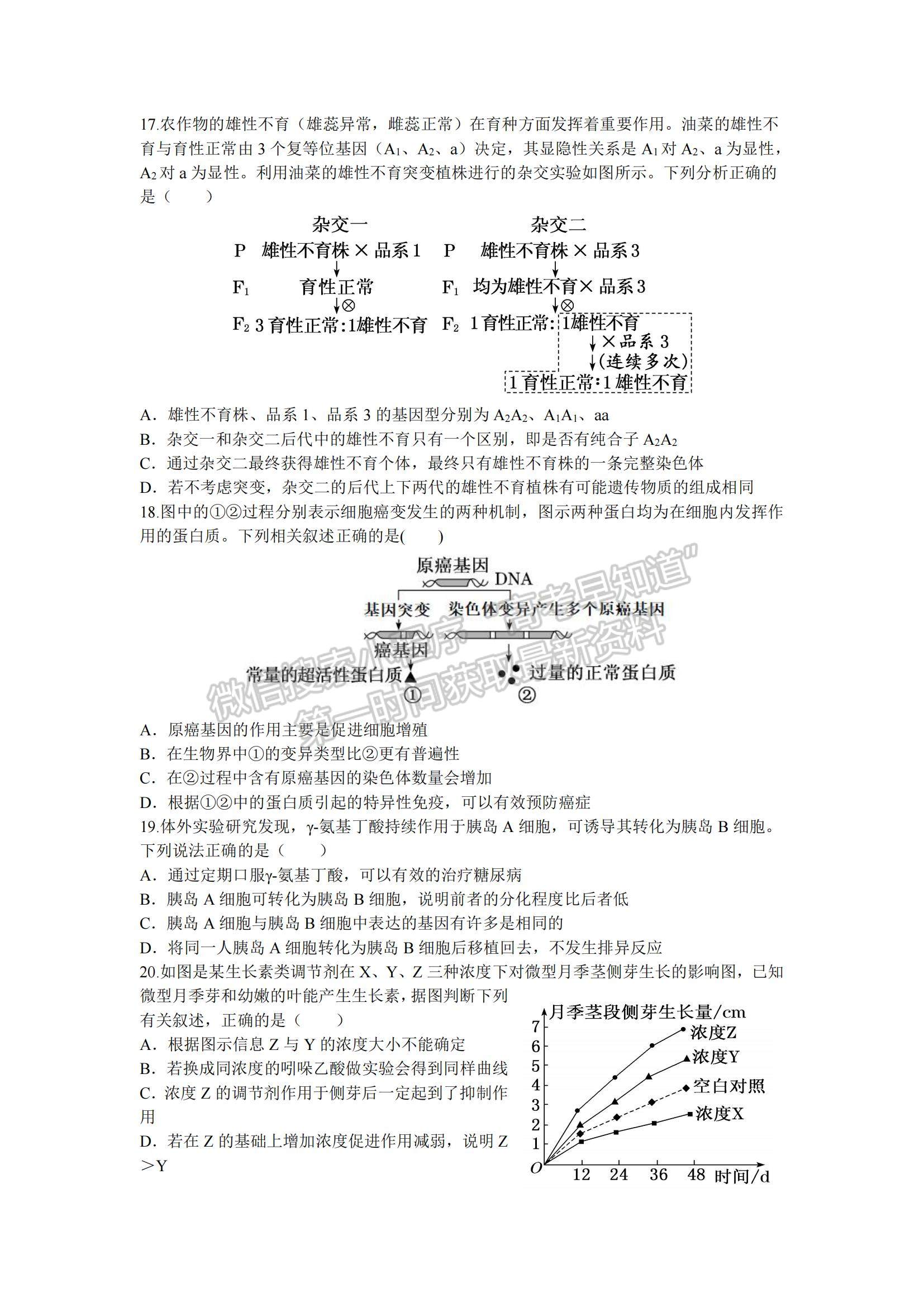 2023山東省棗莊三中高三上學(xué)期12月期中考試生物試題及參考答案