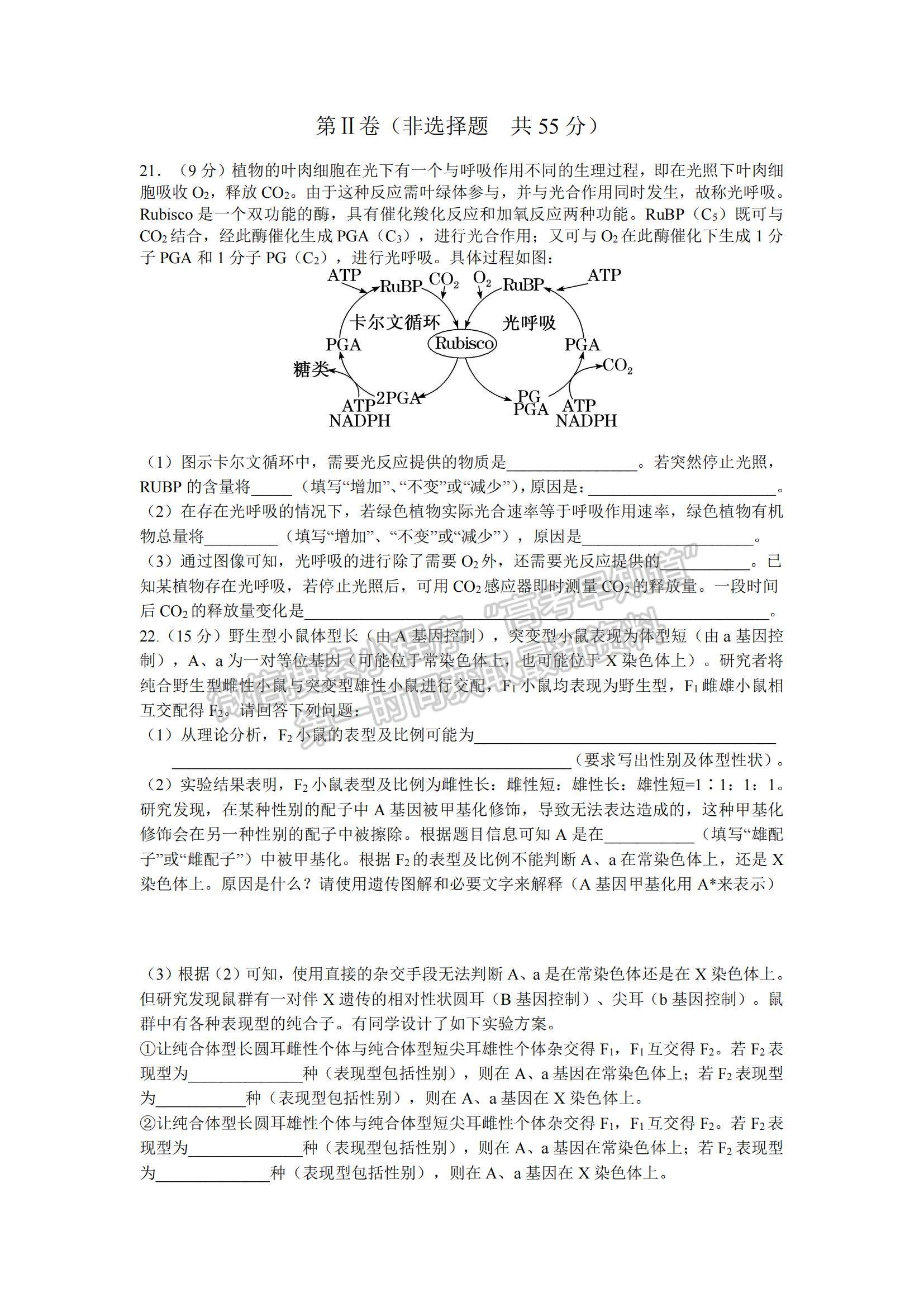 2023山東省棗莊三中高三上學期12月期中考試生物試題及參考答案