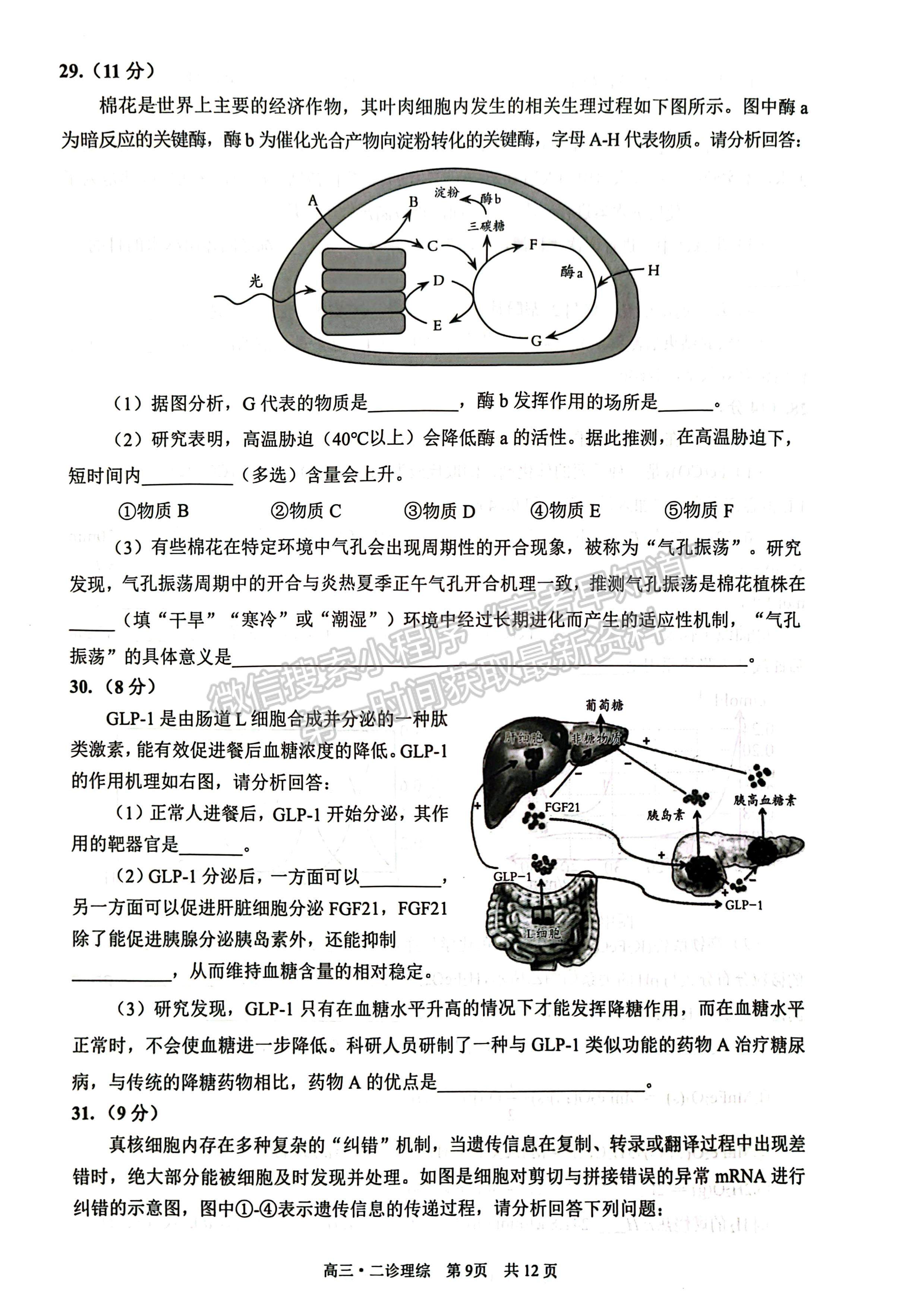 2023四川瀘州市高2020級(jí)第二次教學(xué)質(zhì)量診斷性考試?yán)砜凭C合試題及答案