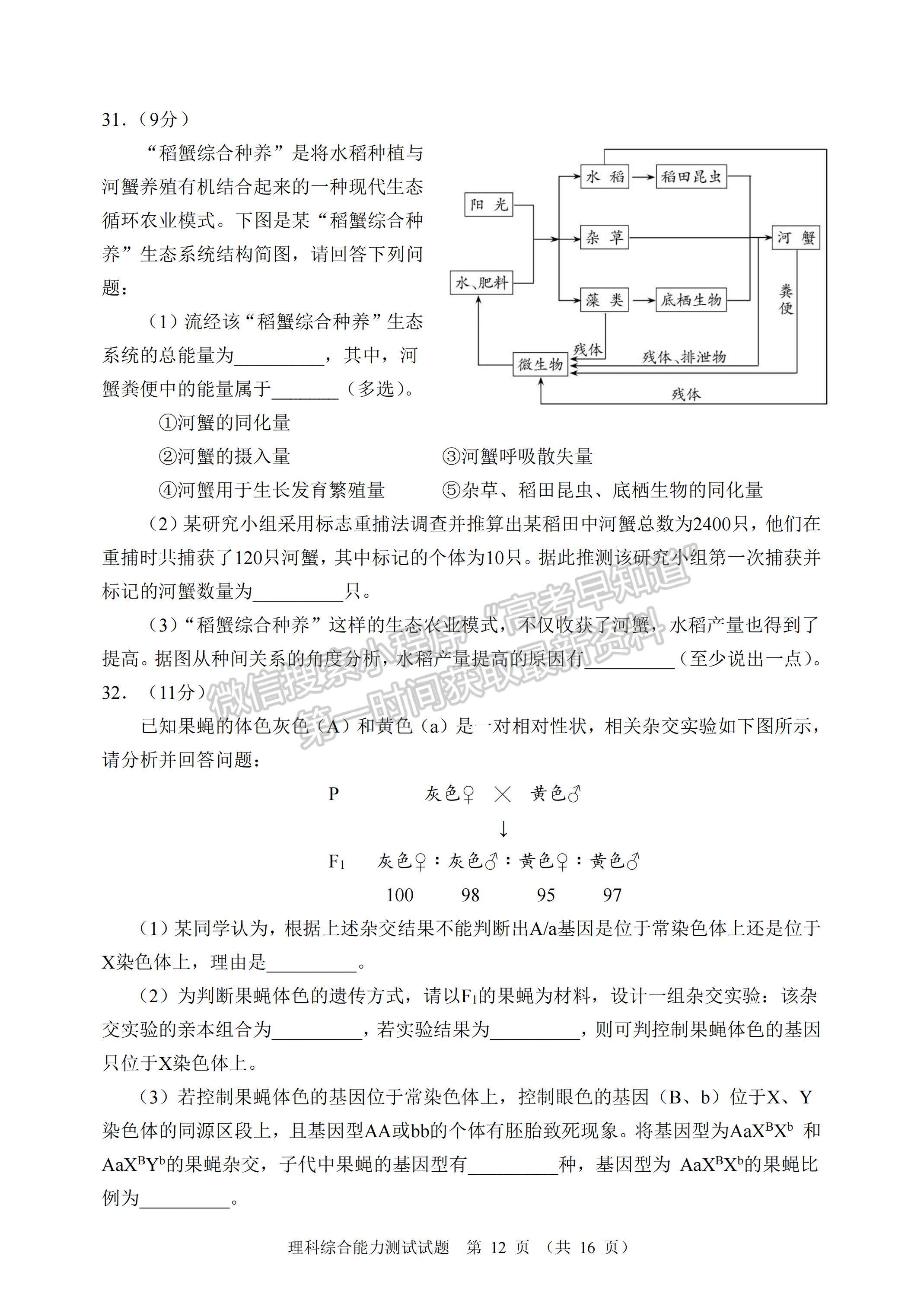 2023四川省大數(shù)據(jù)精準(zhǔn)教學(xué)聯(lián)盟2020級(jí)高三第一次統(tǒng)一檢測(cè)理科綜合試題及答案