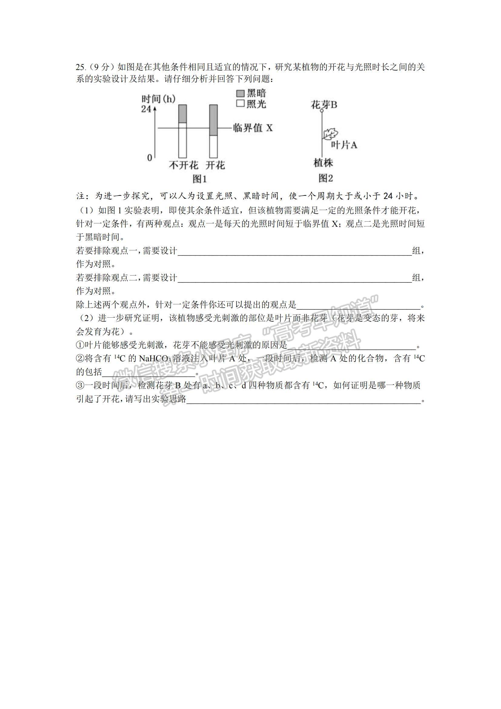 2023山東省棗莊三中高三上學期12月期中考試生物試題及參考答案