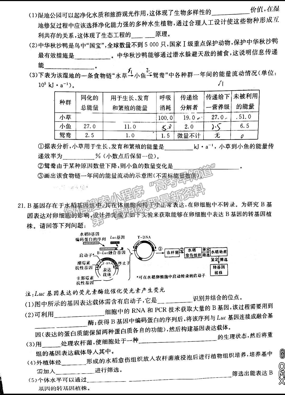 2023屆新高考湖南九校教學教研聯(lián)盟高三年級聯(lián)考生物試卷及參考答案