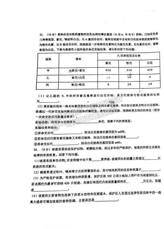 2023江西省吉安一中高三上學(xué)期11月期中考試生物試題及參考答案