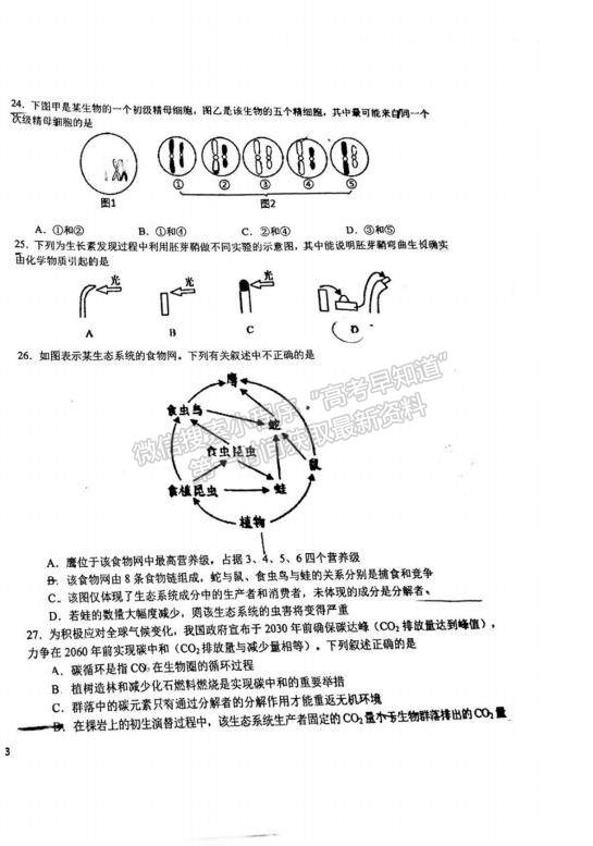 2023江西省吉安一中高三上學(xué)期11月期中考試生物試題及參考答案