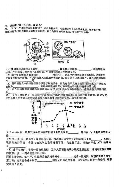 2023江西省吉安一中高三上學(xué)期11月期中考試生物試題及參考答案