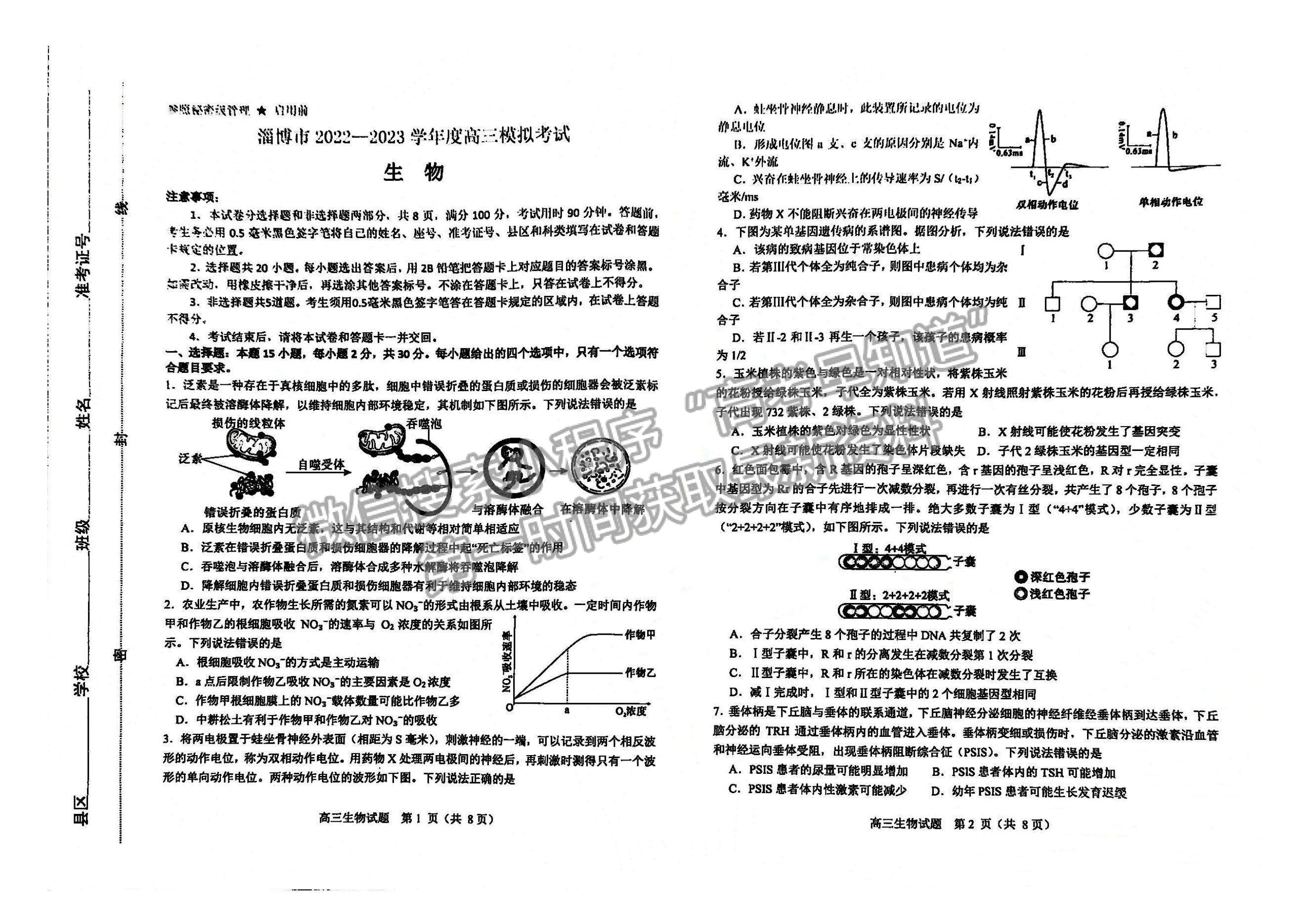 2023山东淄博高三一模试卷及答案汇总-生物试卷及答案