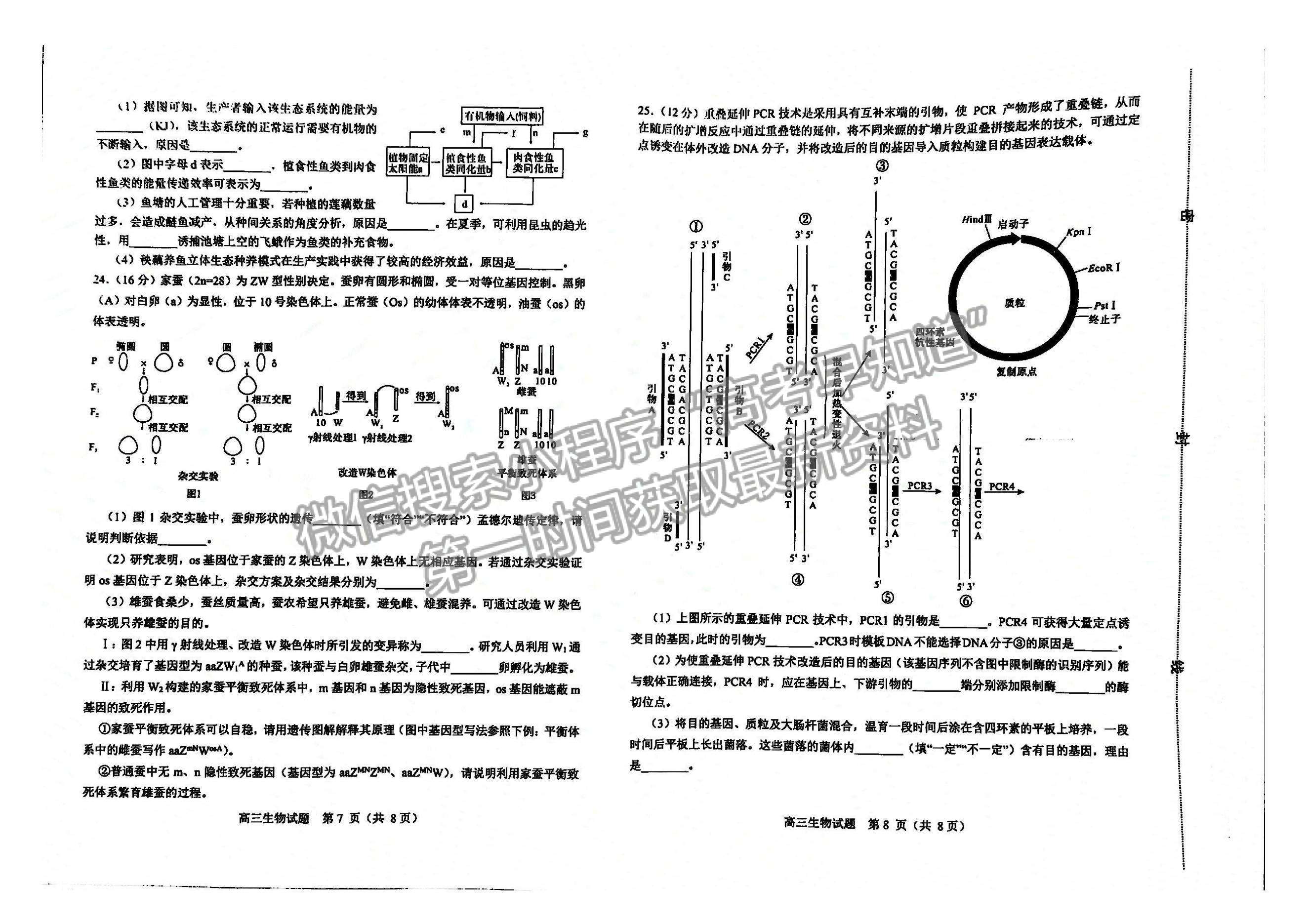 2023山东淄博高三一模试卷及答案汇总-生物试卷及答案