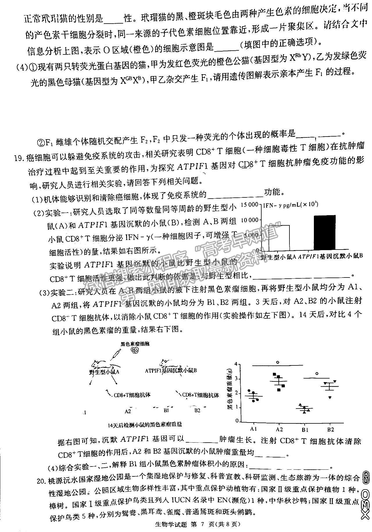 2023屆新高考湖南九校教學教研聯(lián)盟高三年級聯(lián)考生物試卷及參考答案