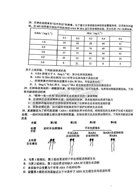 2023江西省吉安一中高三上學(xué)期11月期中考試生物試題及參考答案