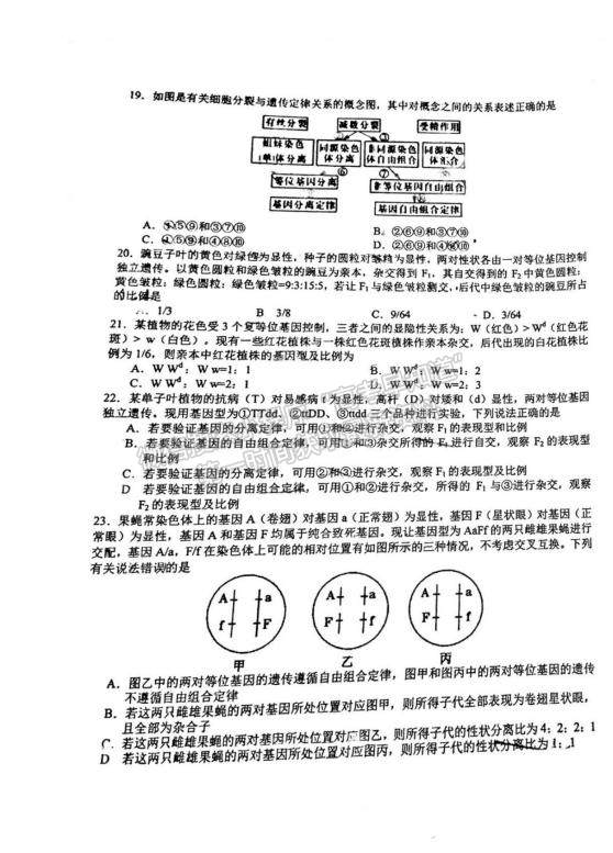 2023江西省吉安一中高三上學(xué)期11月期中考試生物試題及參考答案