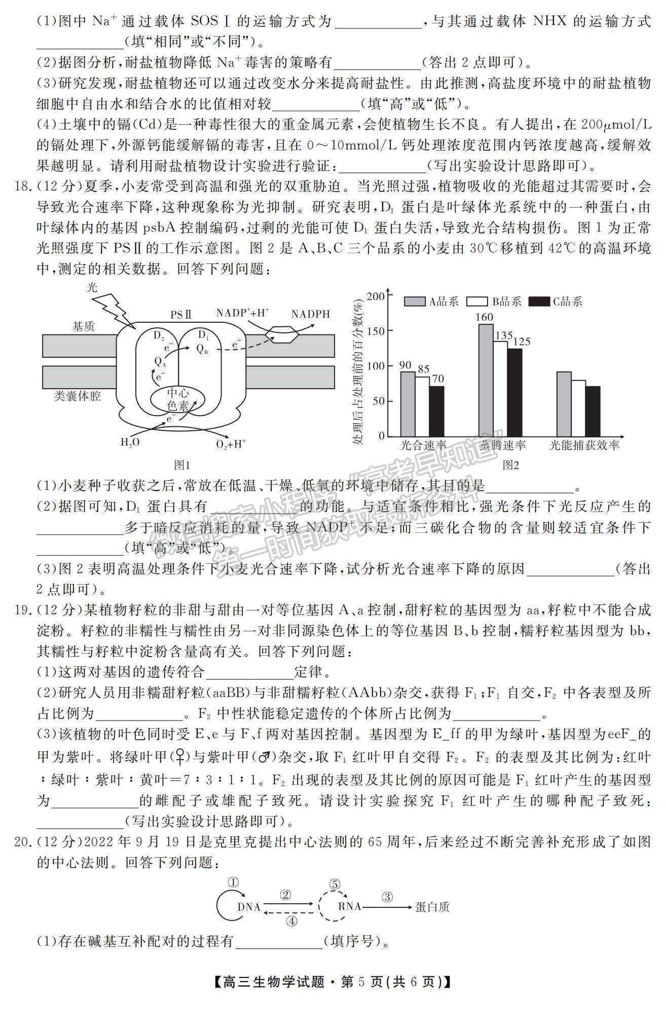 2023湖南省52校高三上學(xué)期11月考試生物試題及參考答案