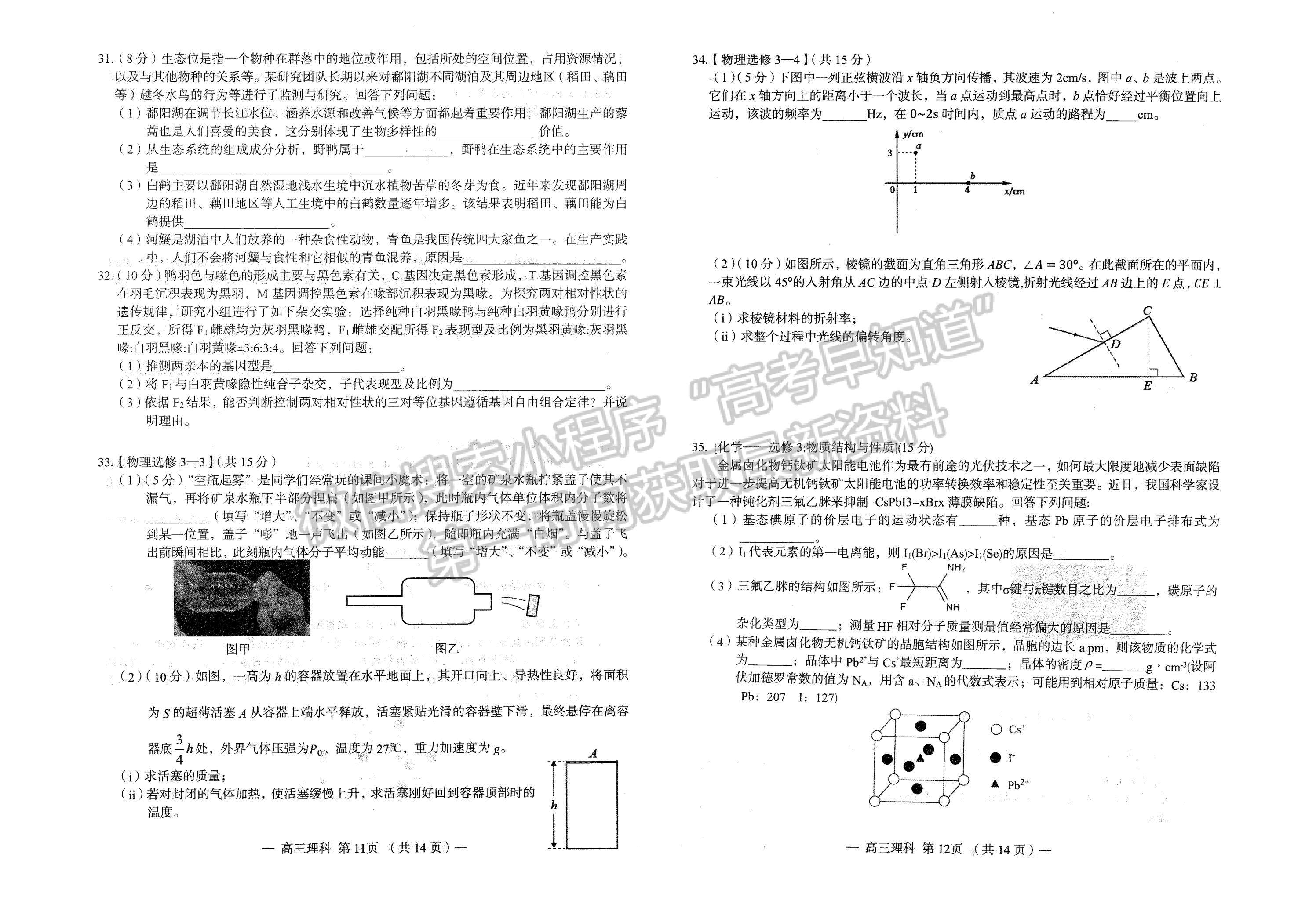 2023南昌一模理綜