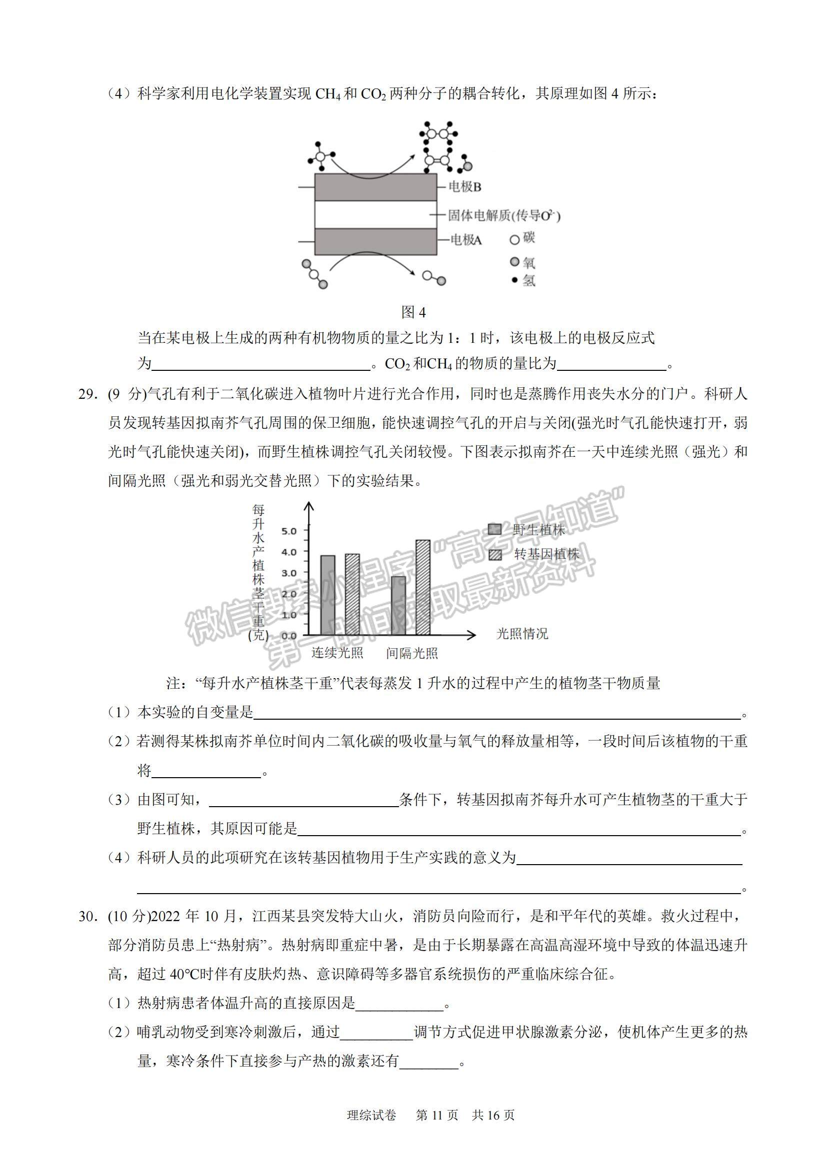 2023江西重點(diǎn)中學(xué)聯(lián)盟高三第一次聯(lián)考理綜