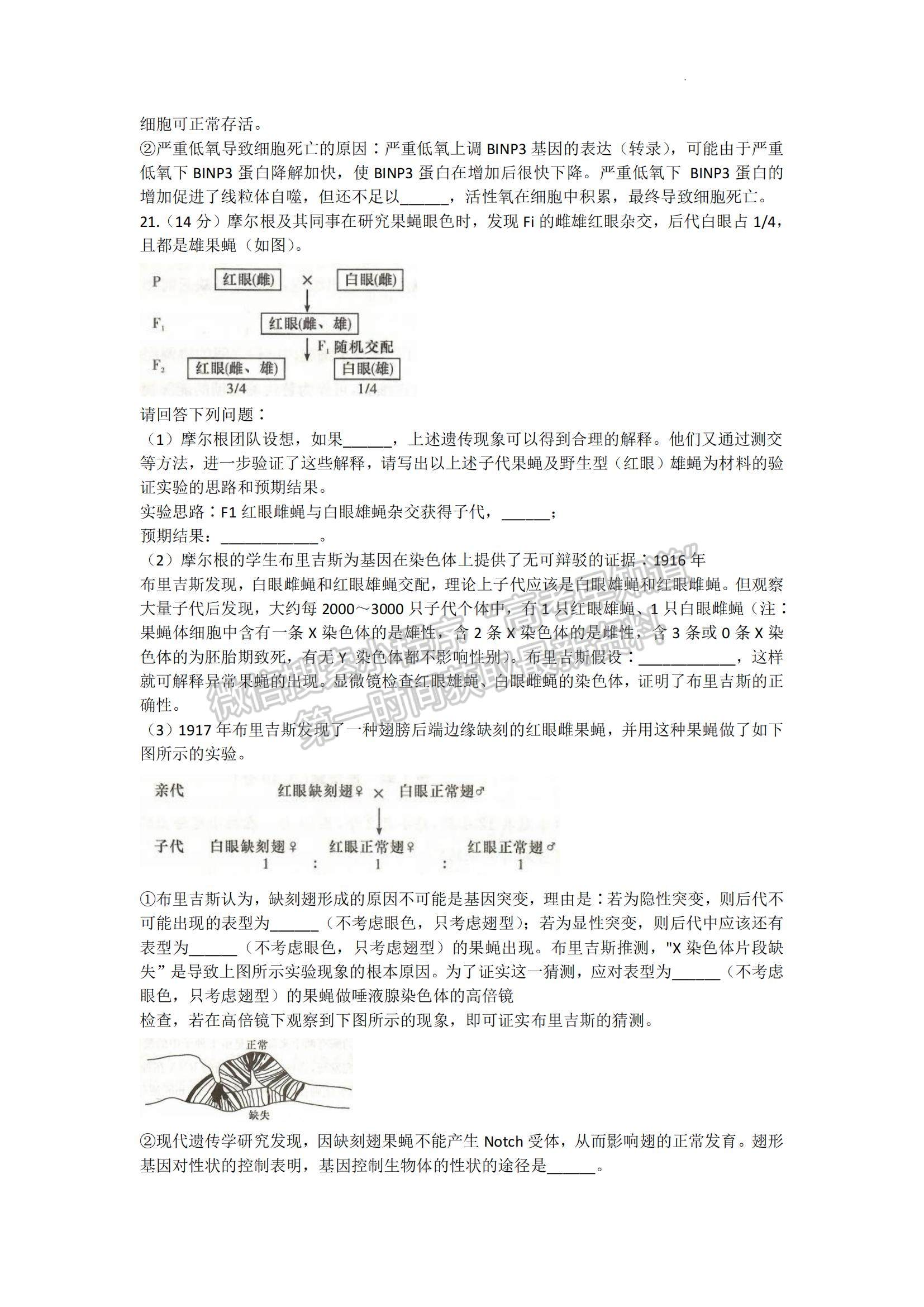 2023湖南省長(zhǎng)郡中學(xué)高三上學(xué)期第三次月考生物試題及參考答案