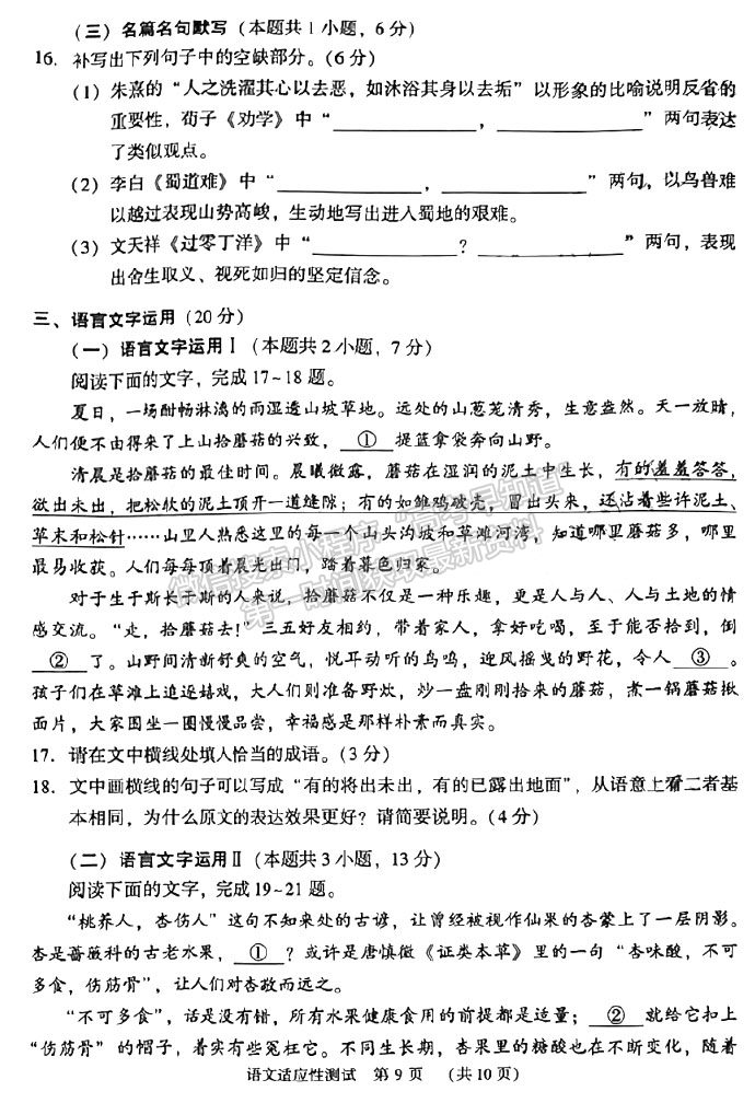 2023河南省普通高中畢業(yè)班高考適應(yīng)性測(cè)試語(yǔ)文試題及參考答案