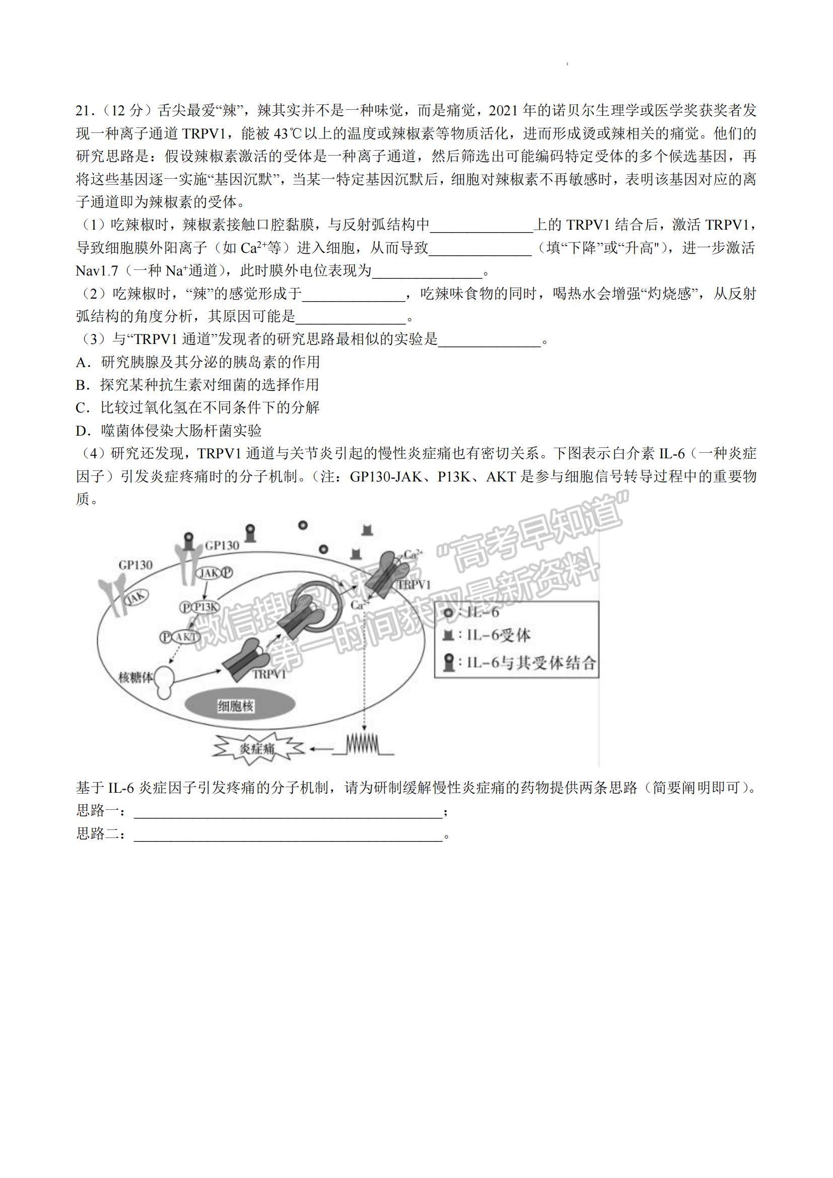 2023湖南省雅禮中學(xué)高三上學(xué)期第四次月考生物試題及參考答案