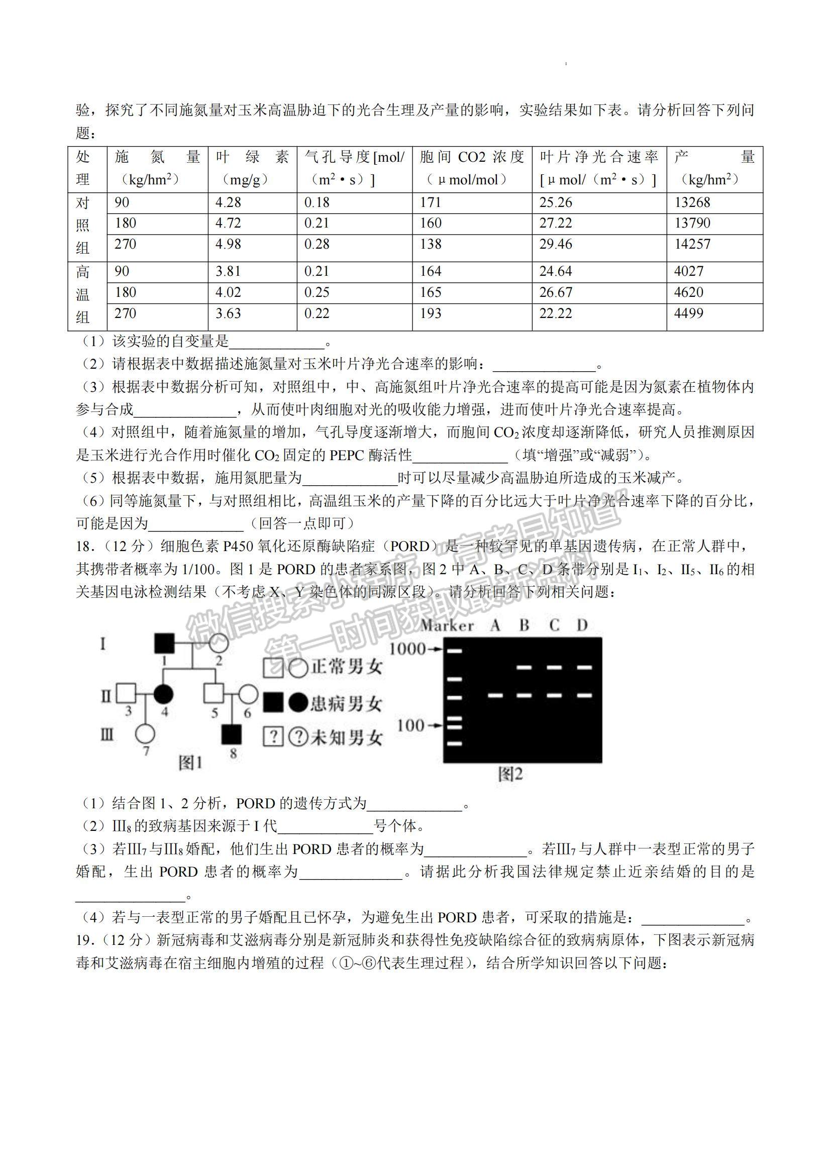 2023湖南省雅禮中學(xué)高三上學(xué)期第四次月考生物試題及參考答案